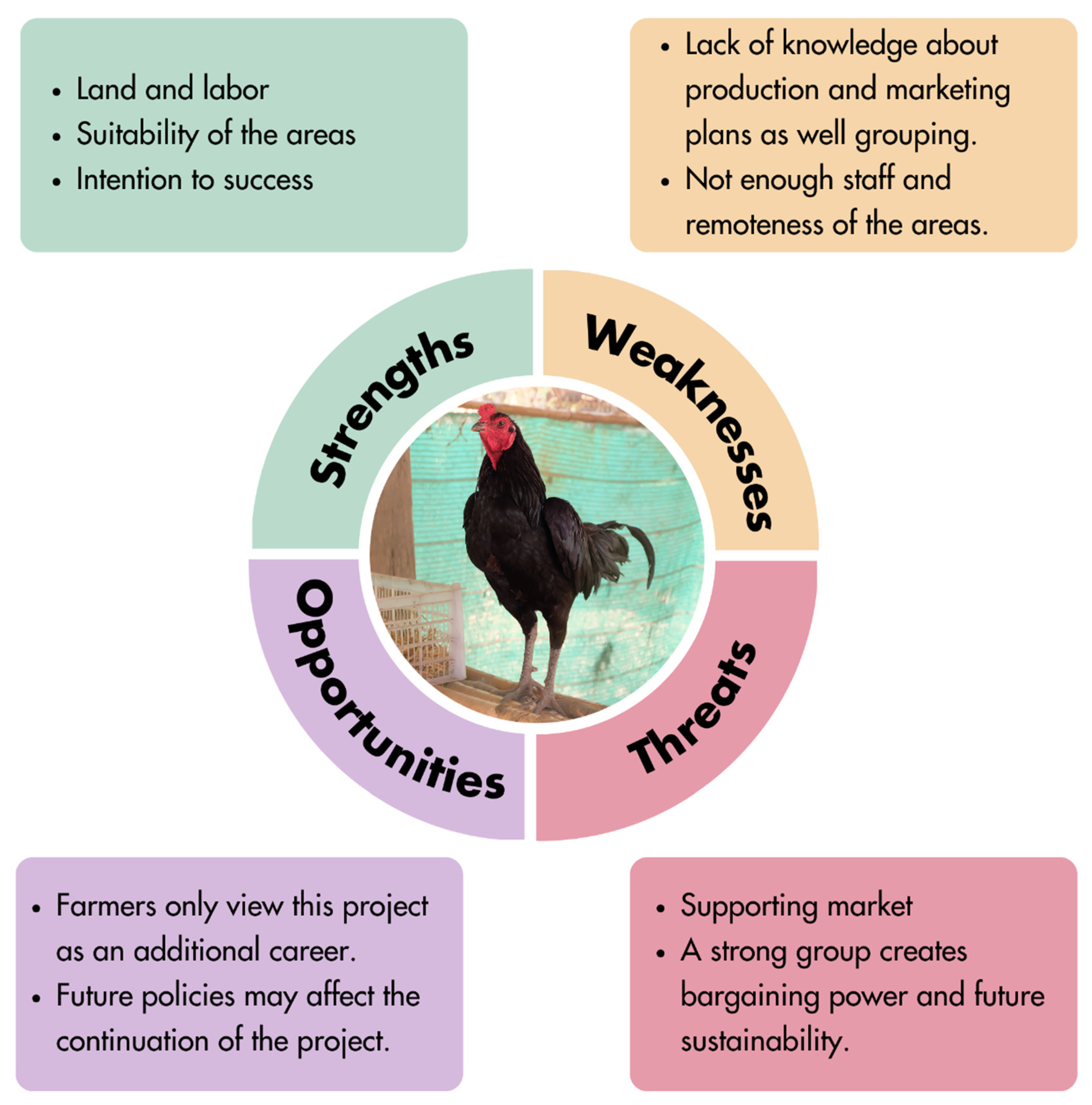 Sustainability 16 07811 g008 Sustainability 16 07811 g008