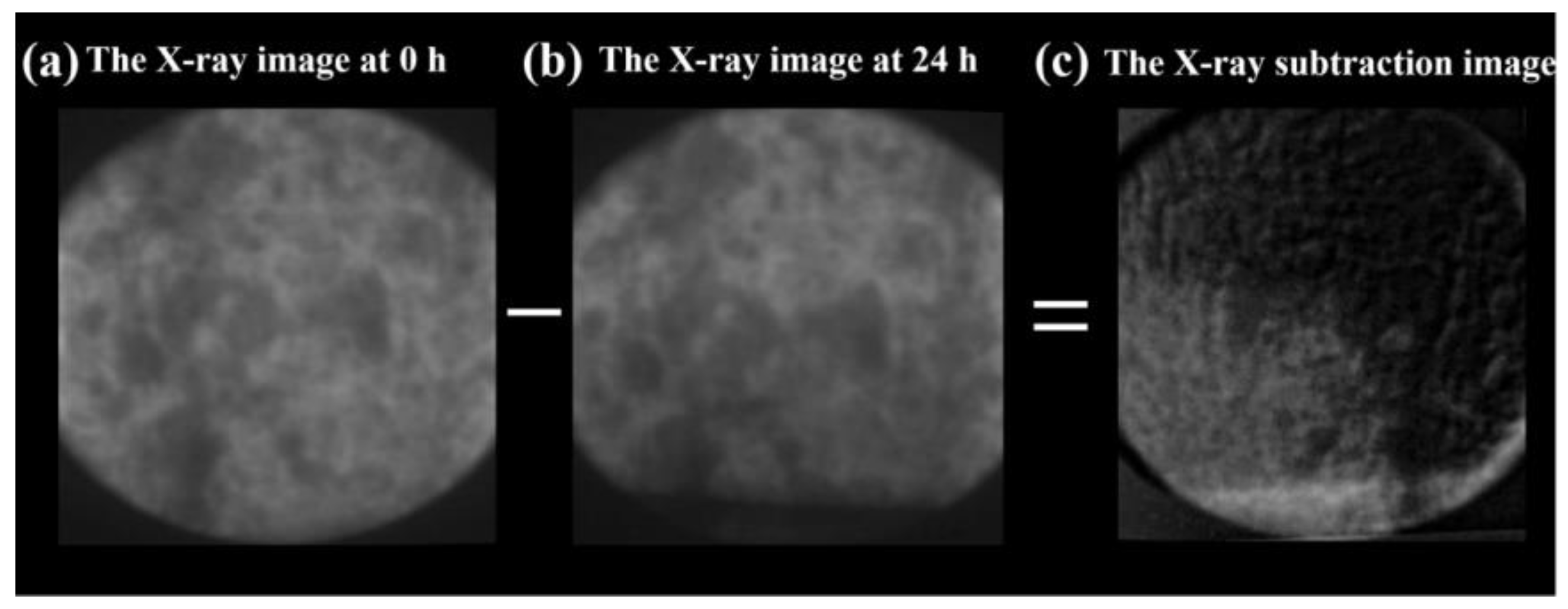 Sustainability 16 07841 g005