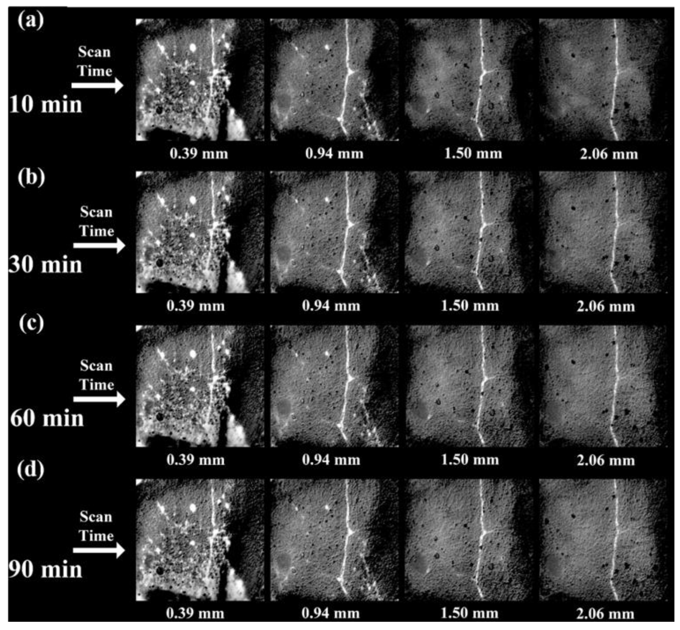 Sustainability 16 07841 g008