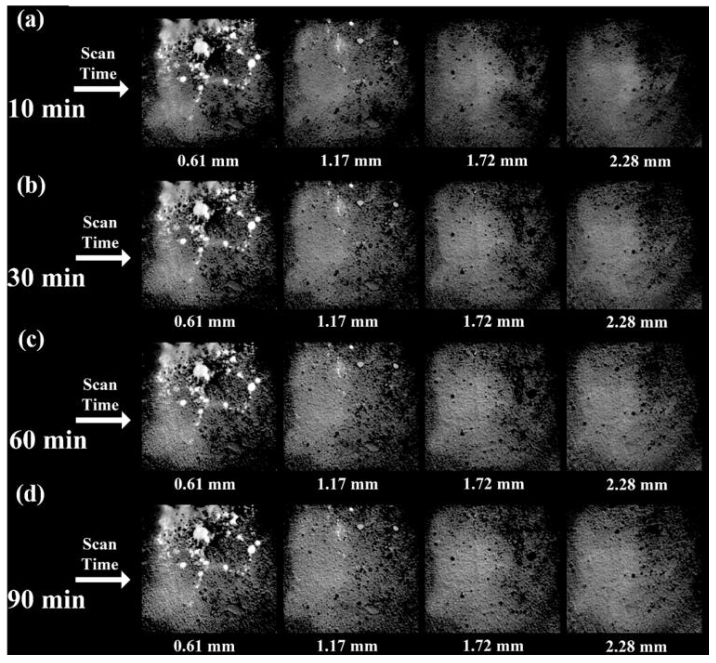 Sustainability 16 07841 g009