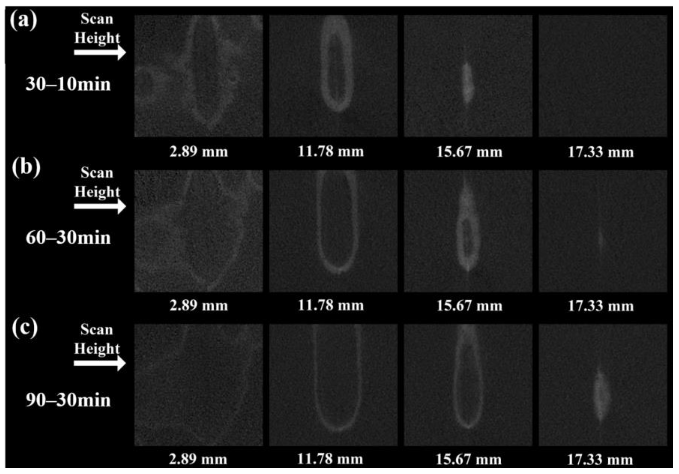 Sustainability 16 07841 g010