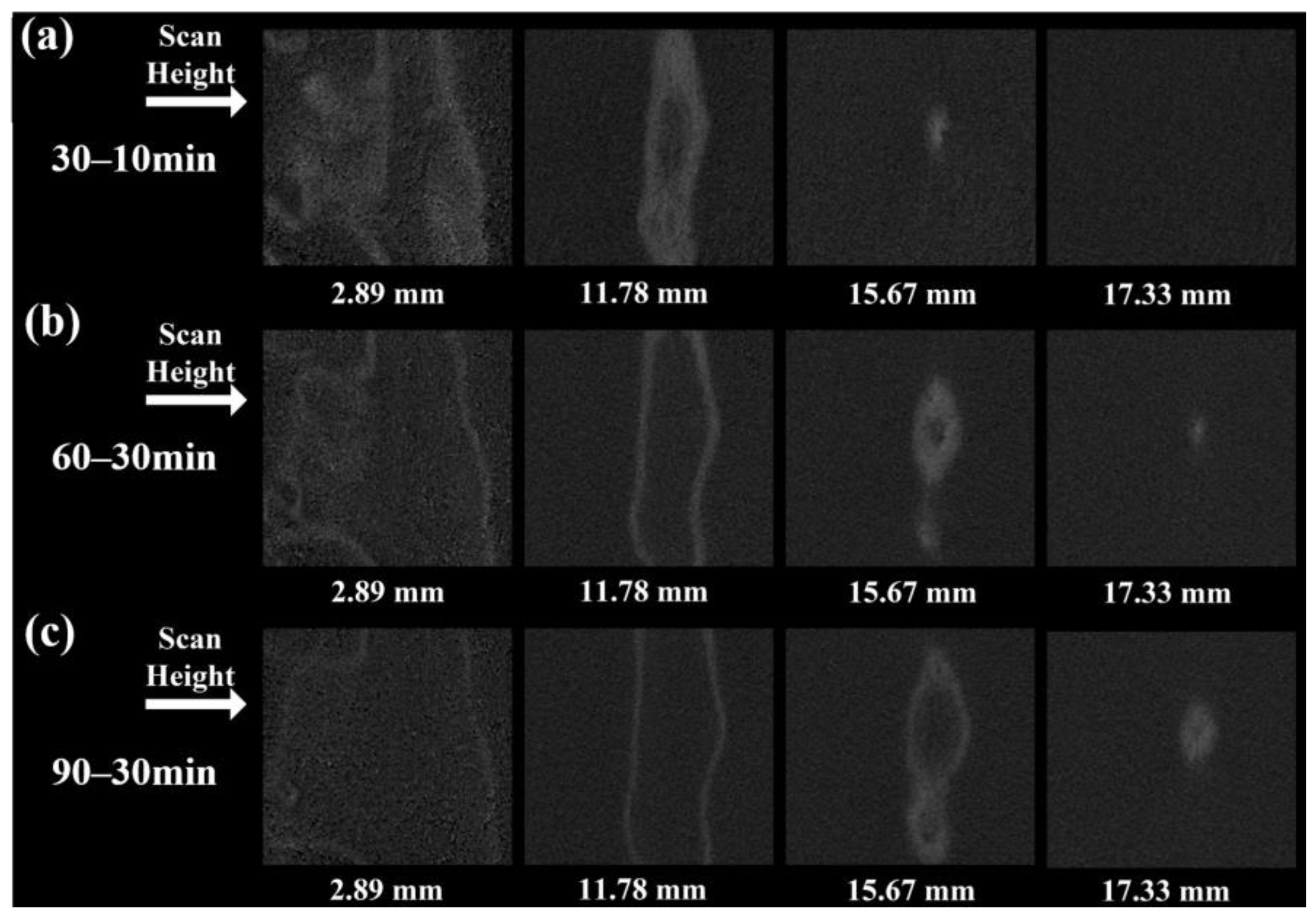 Sustainability 16 07841 g011