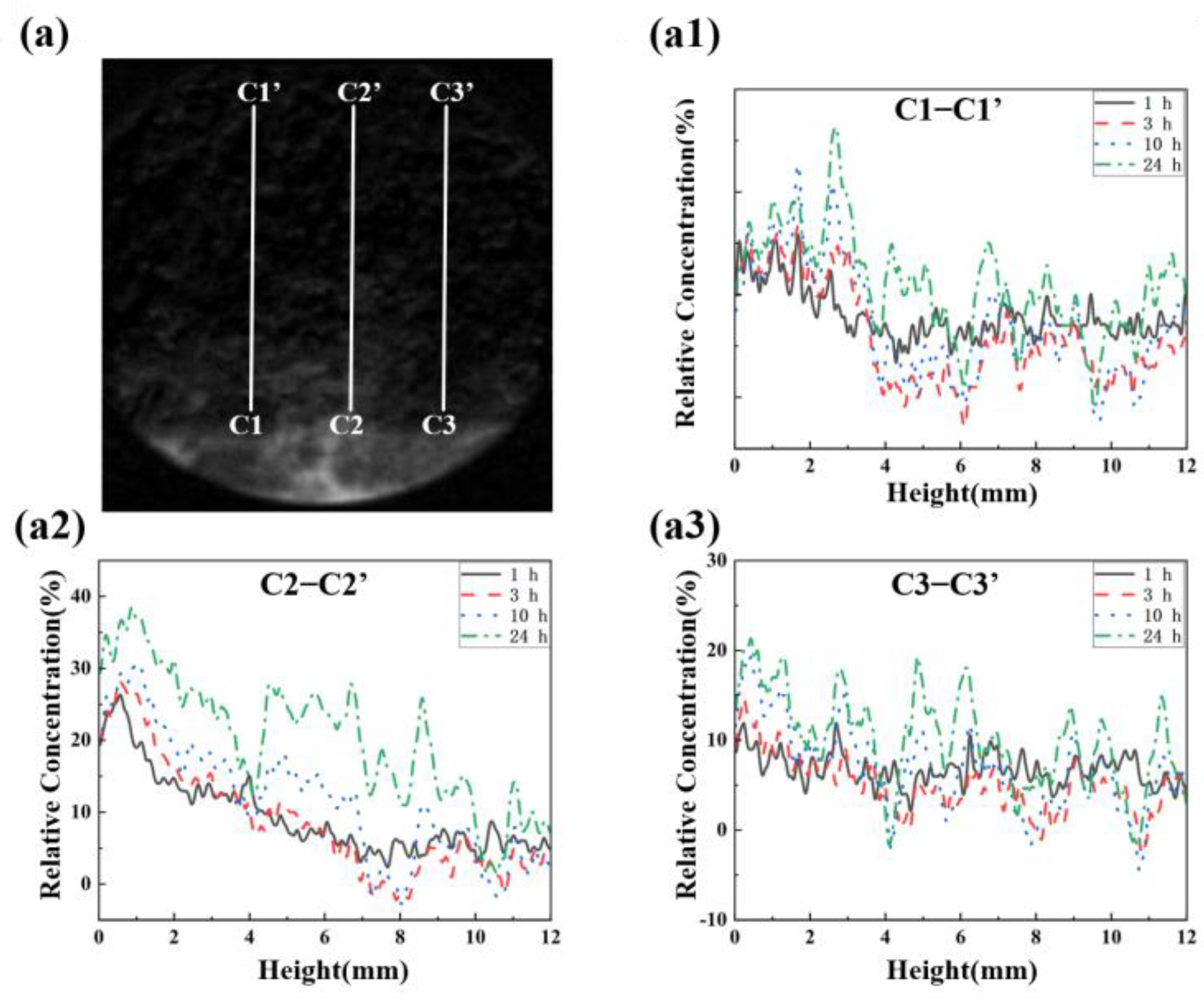 Sustainability 16 07841 g017
