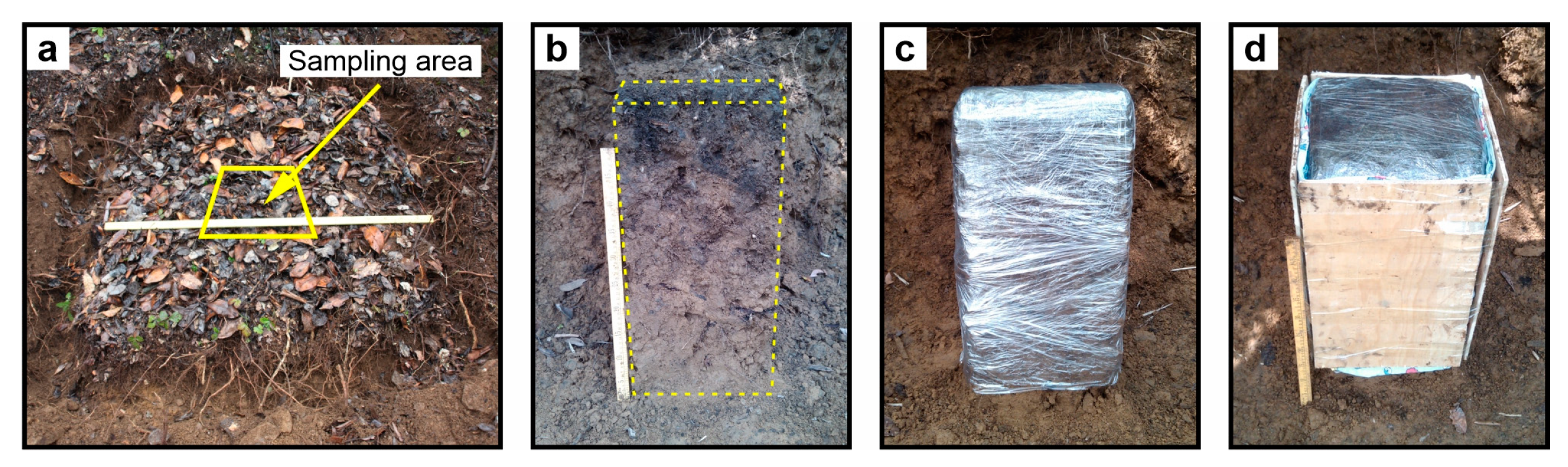 Sustainability 16 07897 g002