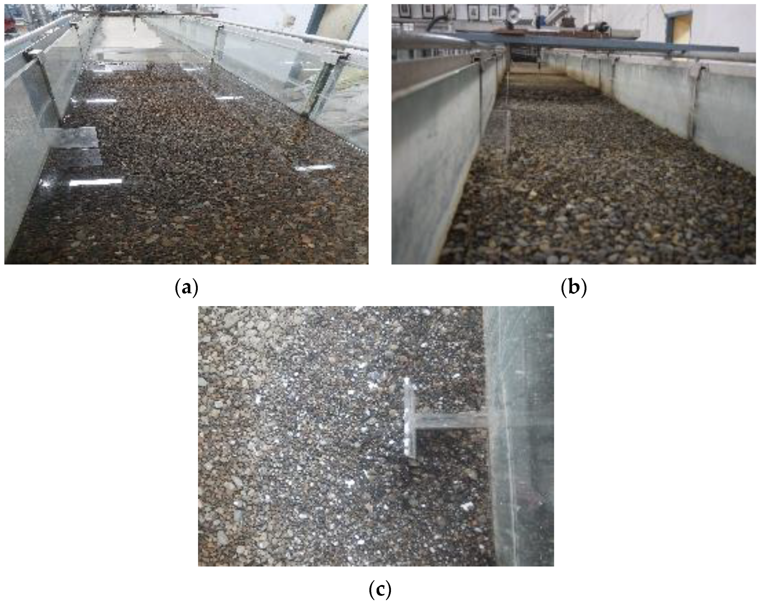 Sustainability 16 07905 g001