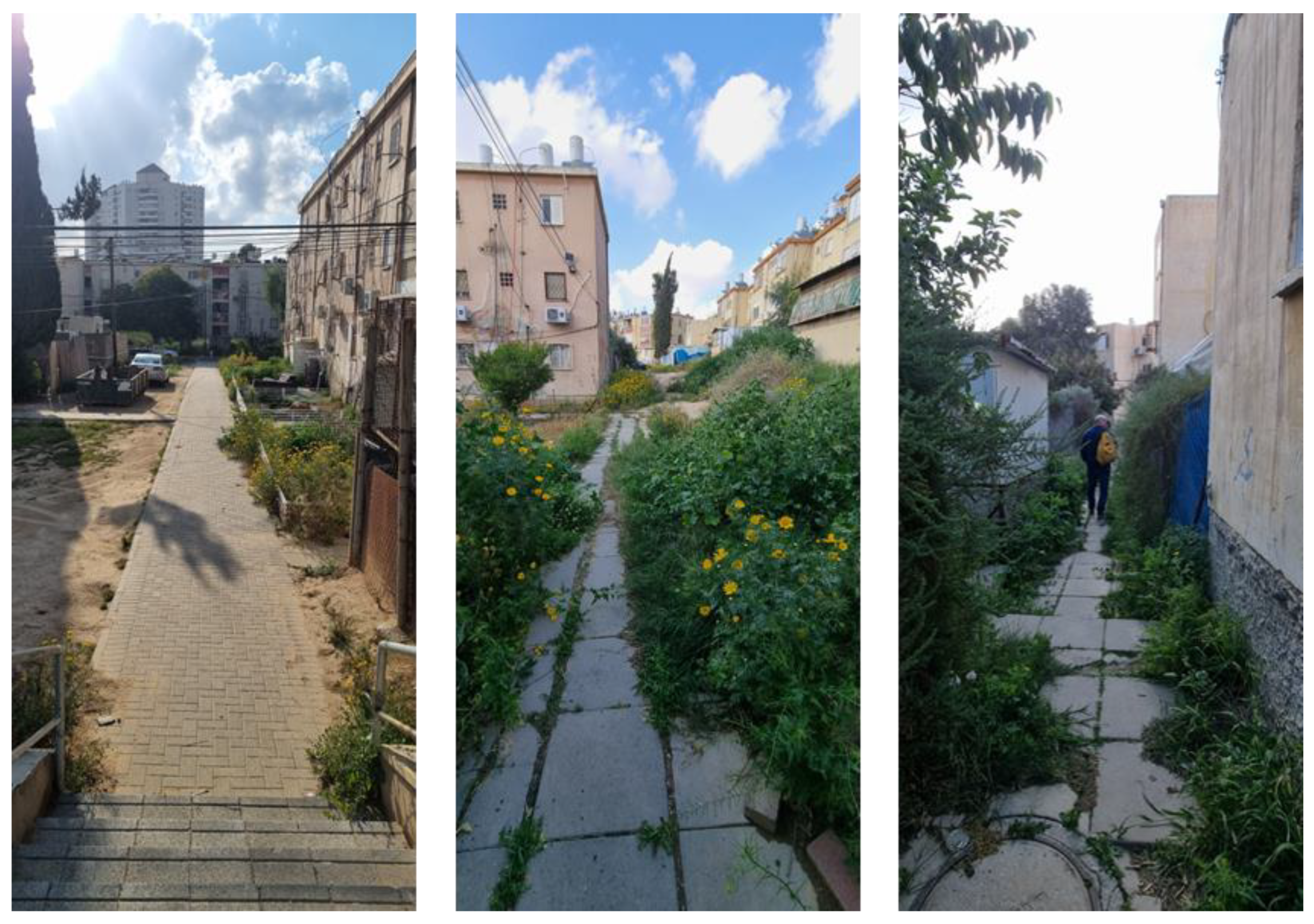 Sustainability 16 07938 g016