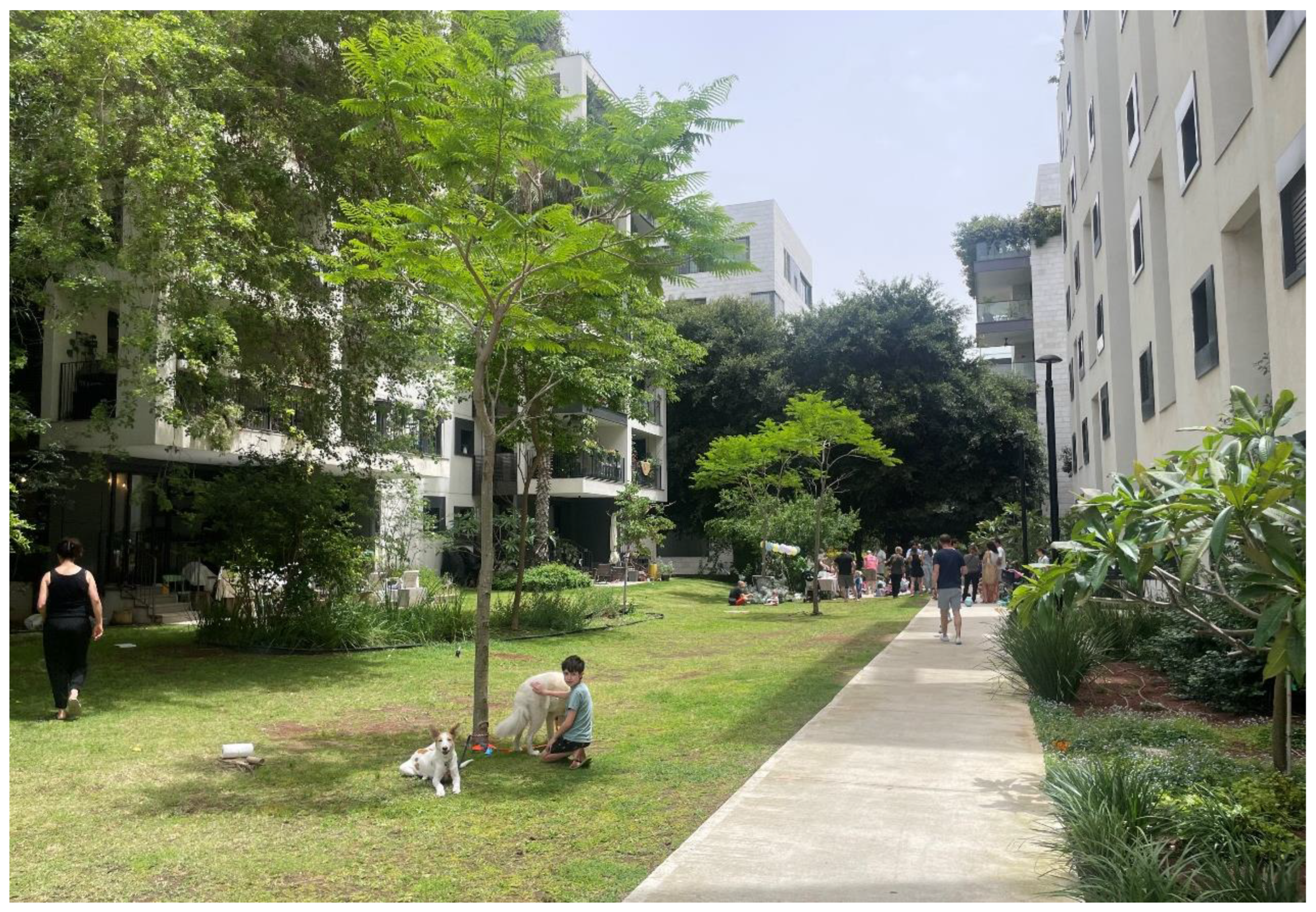 Sustainability 16 07938 g017