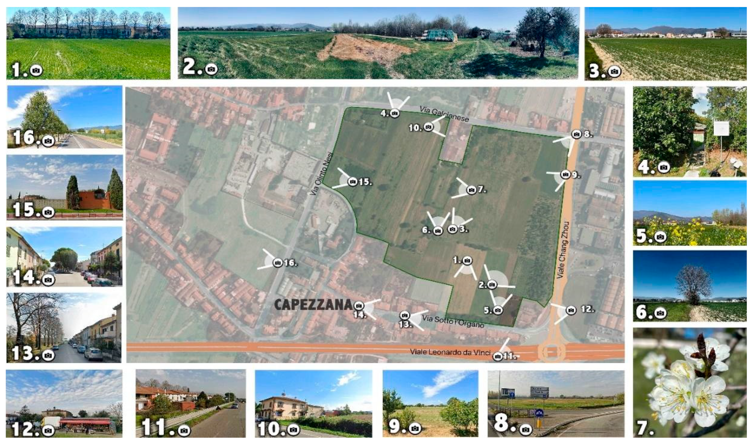 Sustainability 16 07946 g009