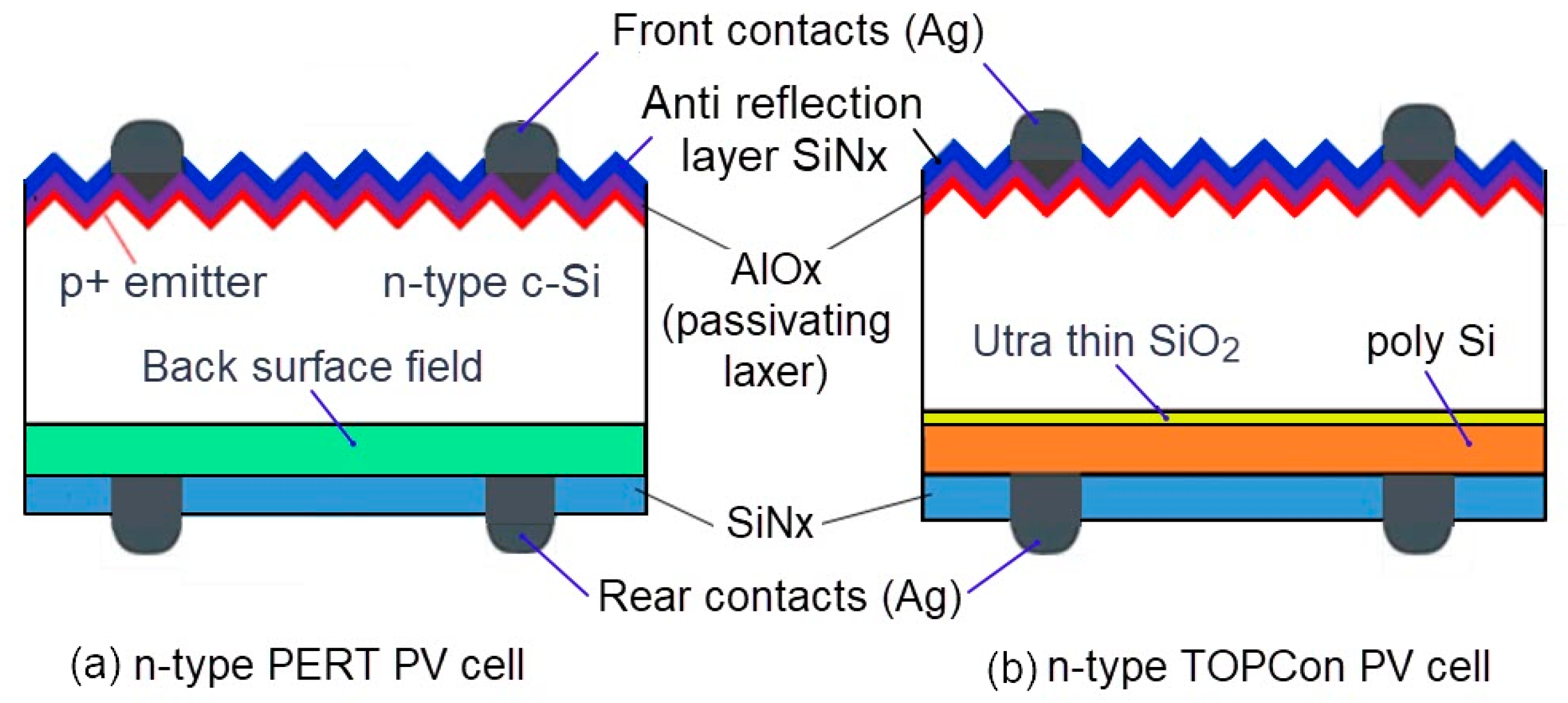Sustainability 16 07962 g002
