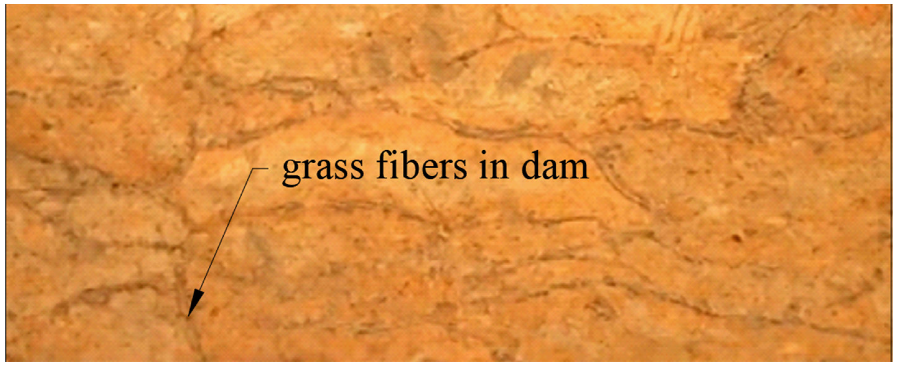 Sustainability 16 07978 g001