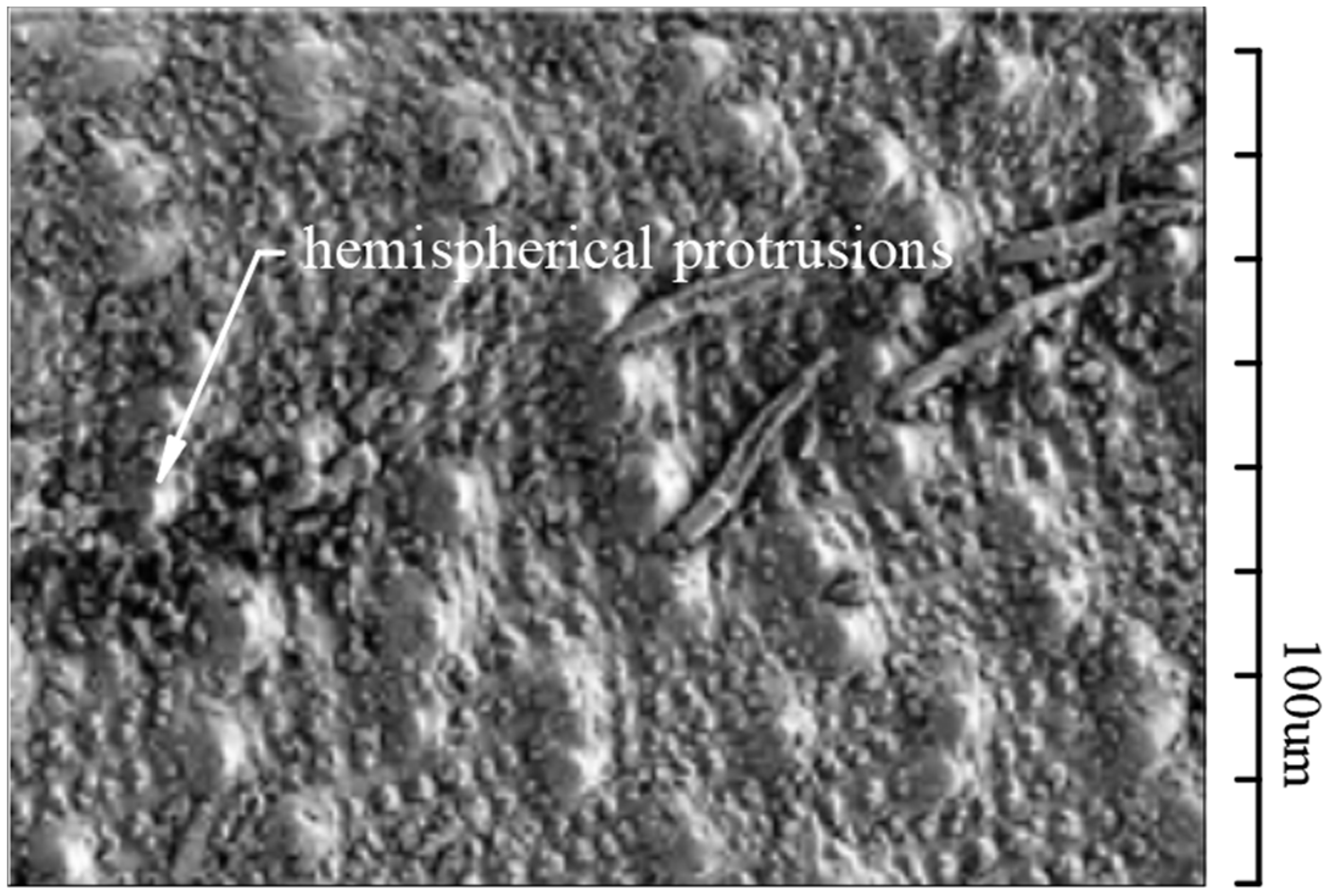 Sustainability 16 07978 g011