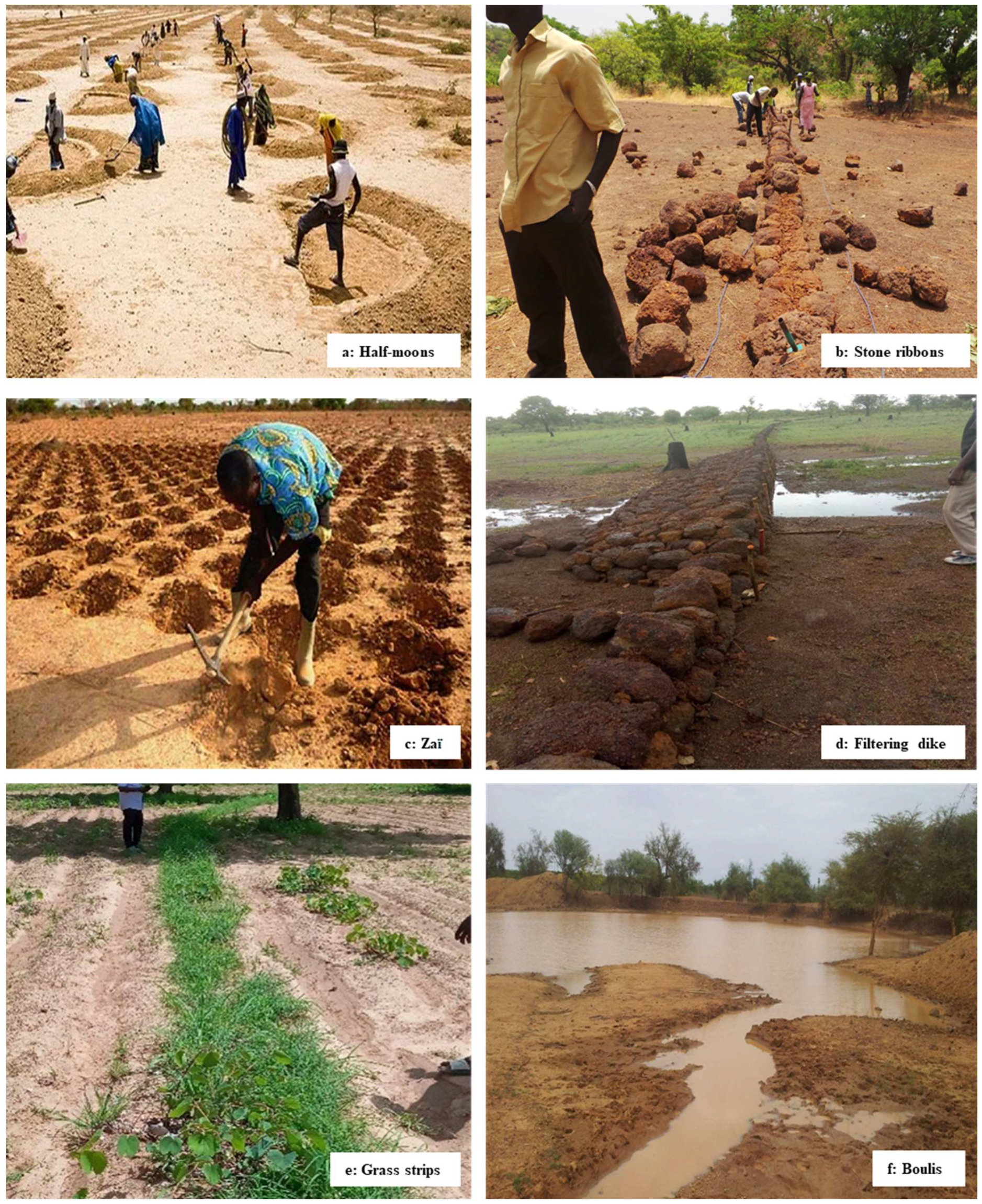 Sustainability 16 07995 g001