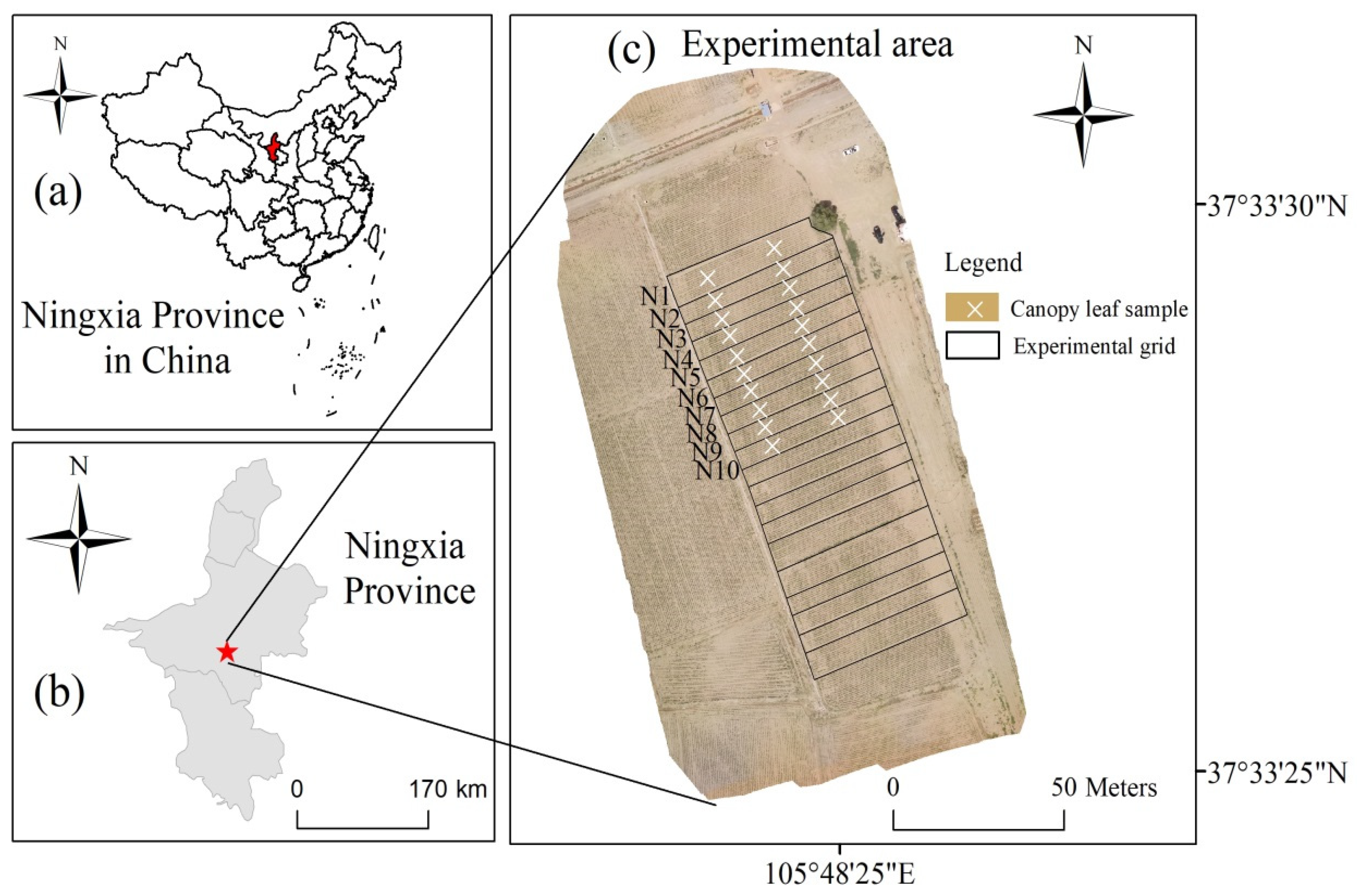 Sustainability 16 08011 g001
