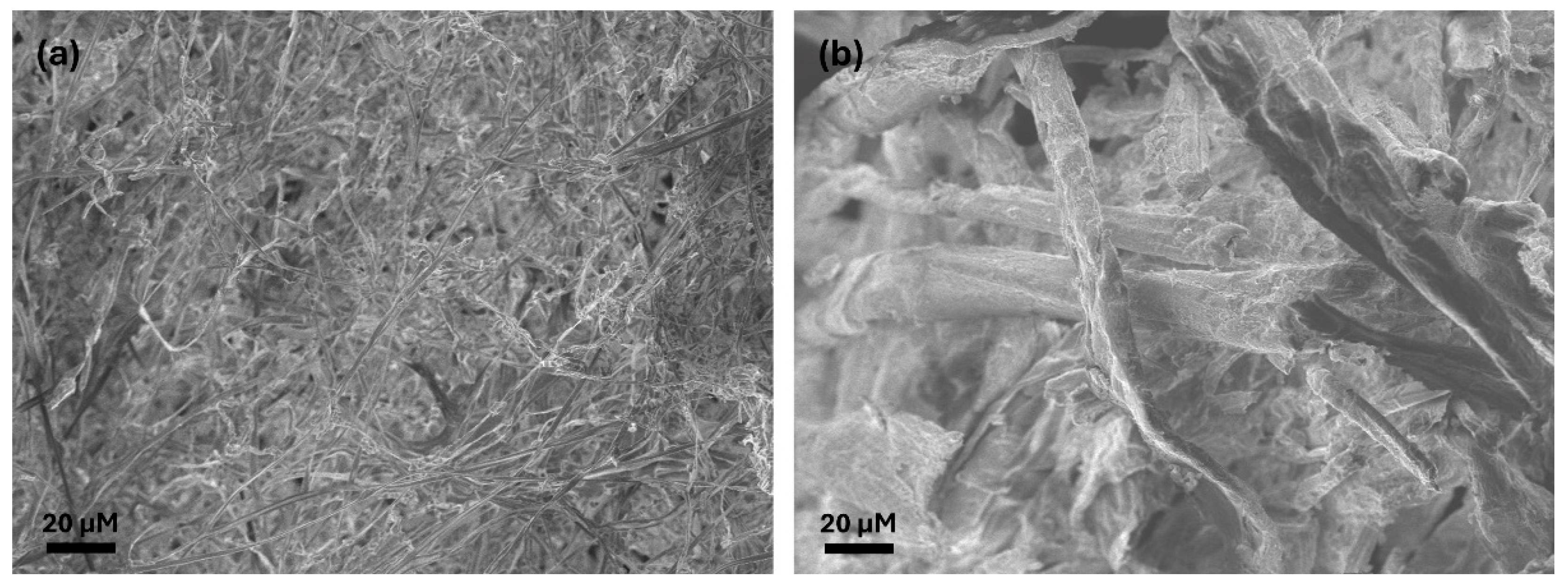 Sustainability 16 08034 g005