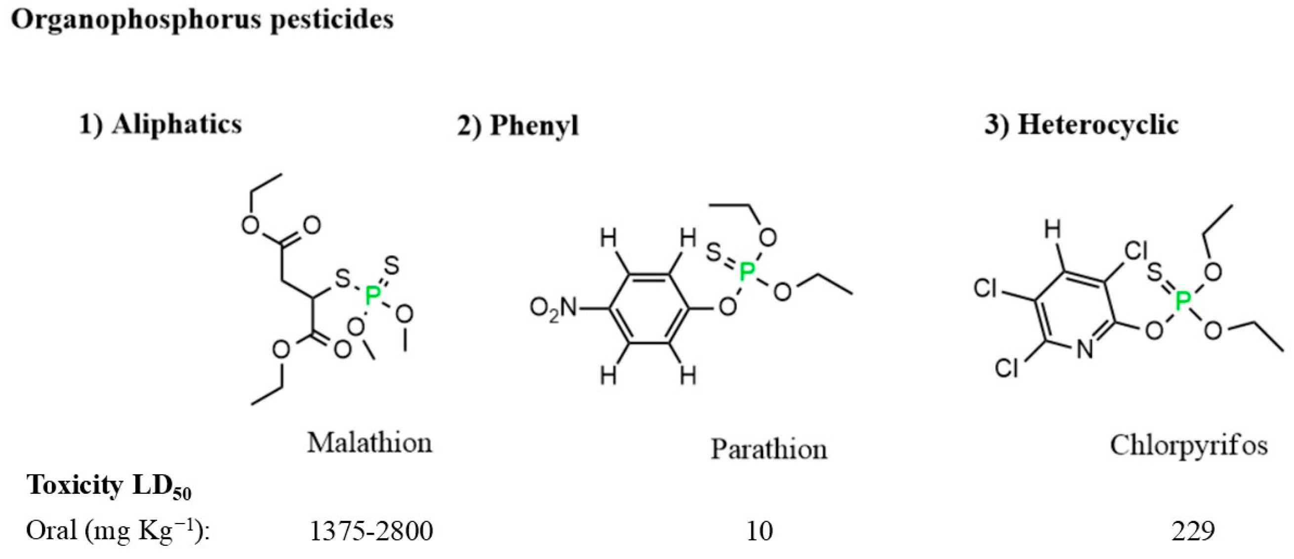 Sustainability 16 08066 g005