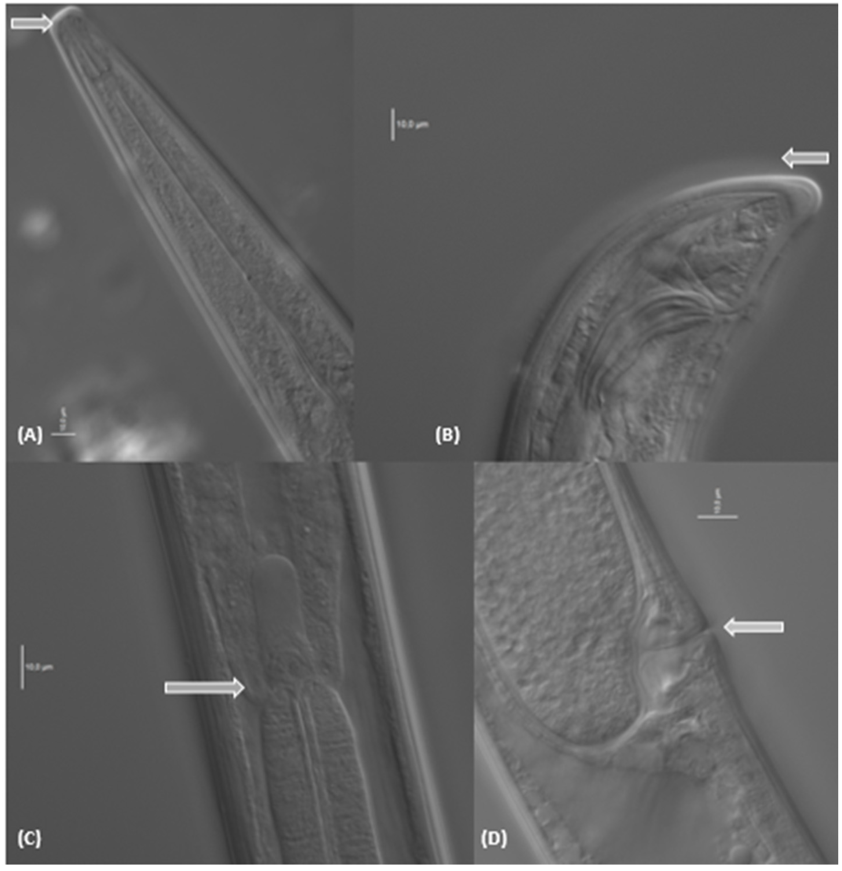 Sustainability 16 08093 g002 Sustainability 16 08093 g002