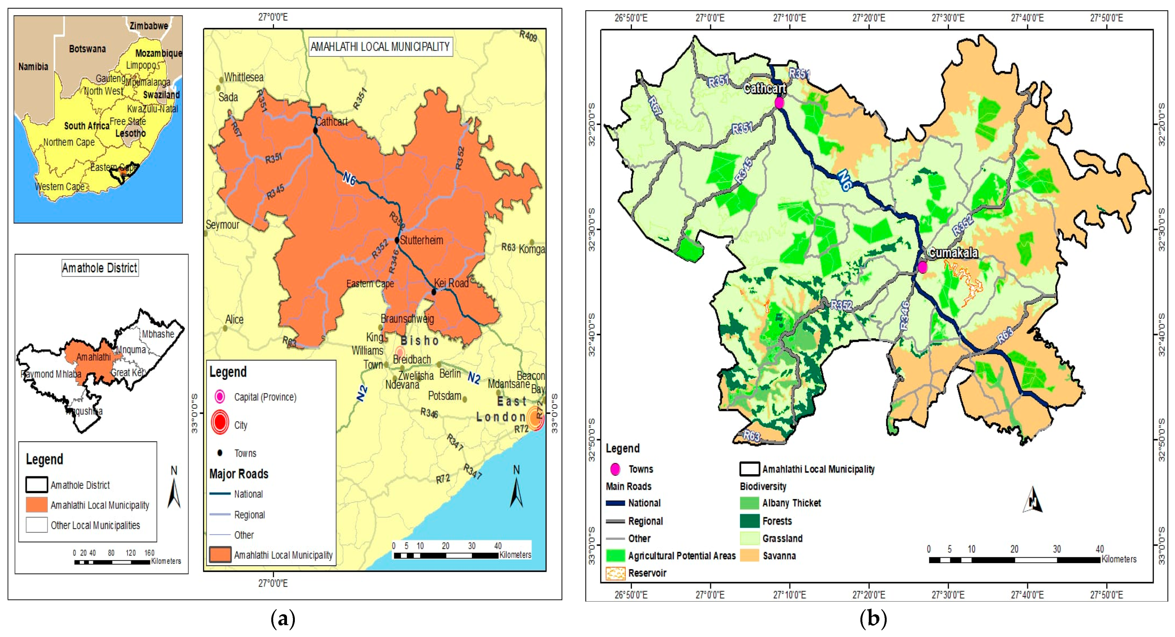 Sustainability 16 08125 g001