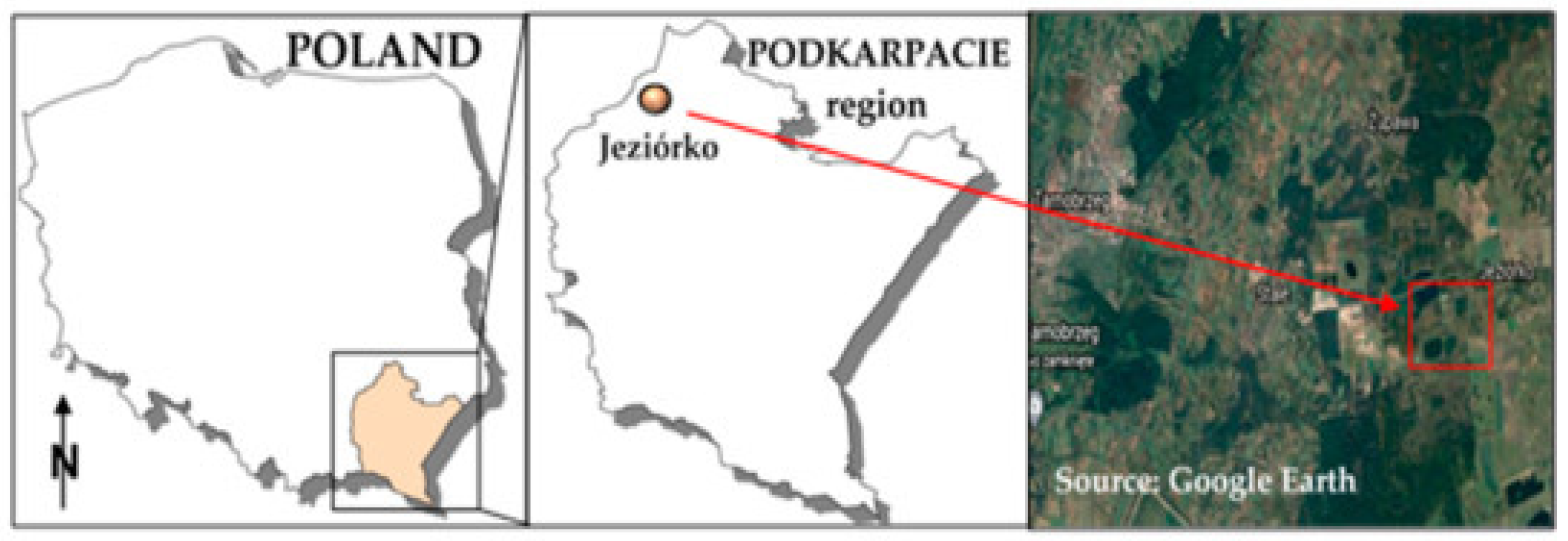 Sustainability 16 08126 g001