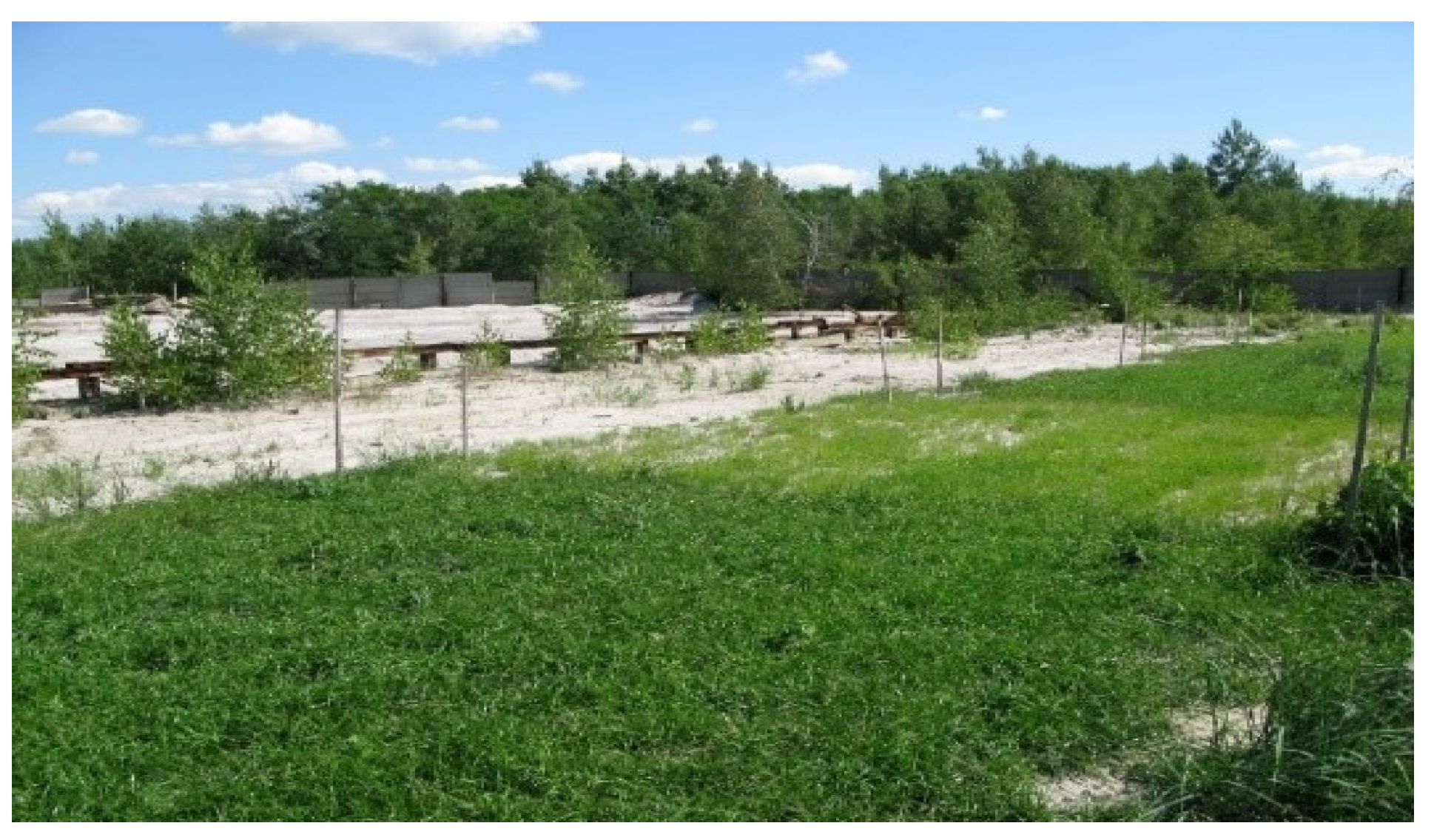 Sustainability 16 08126 g003