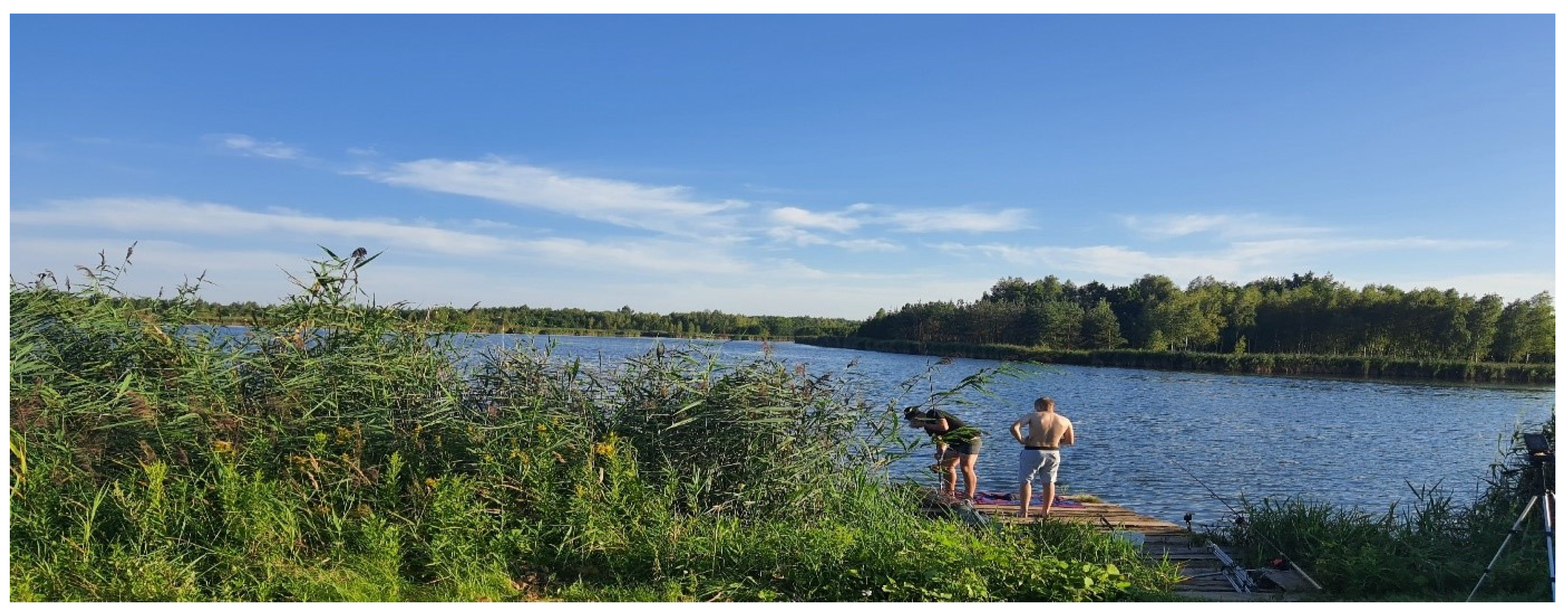 Sustainability 16 08126 g007