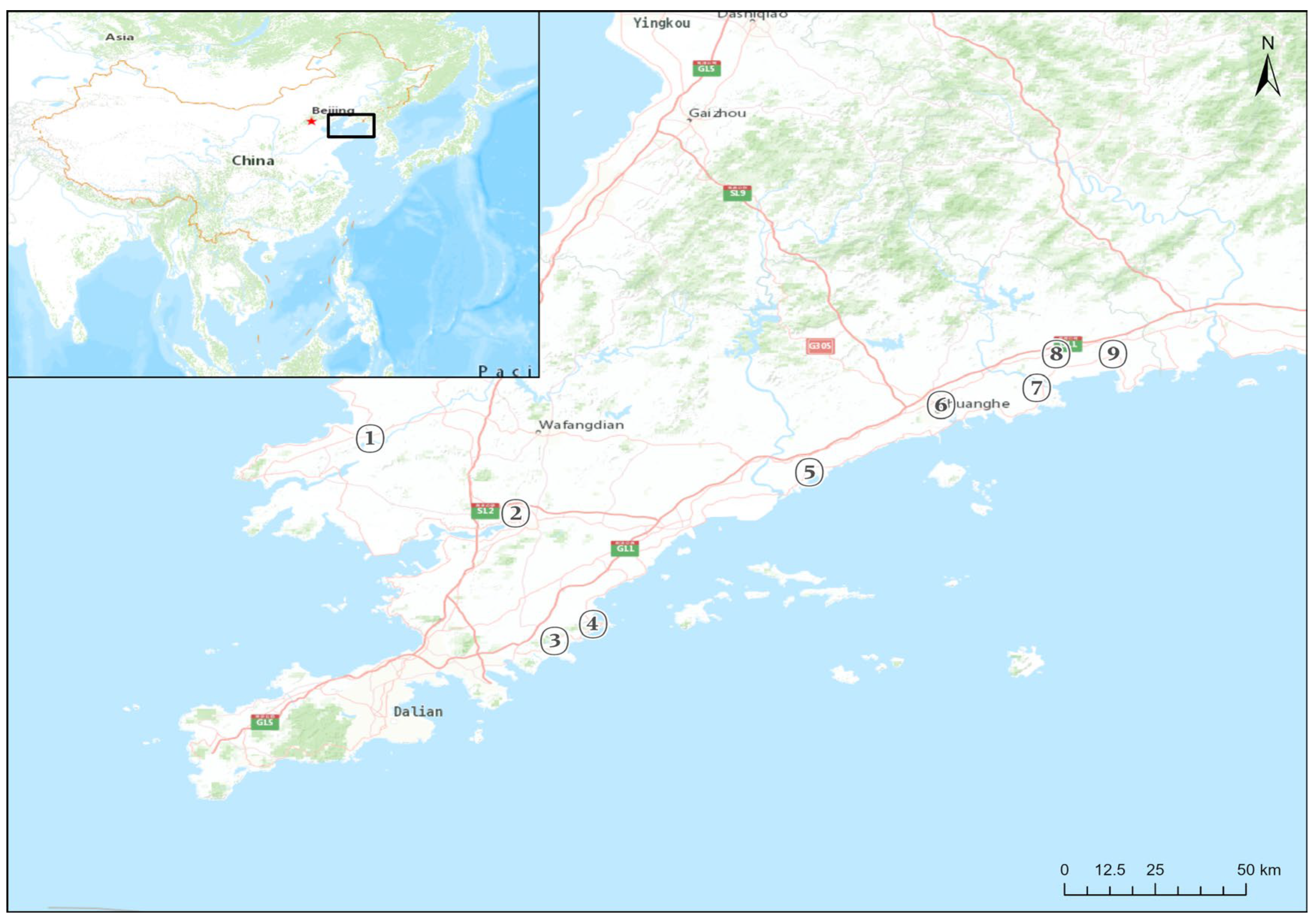 Sustainability 16 08133 g001