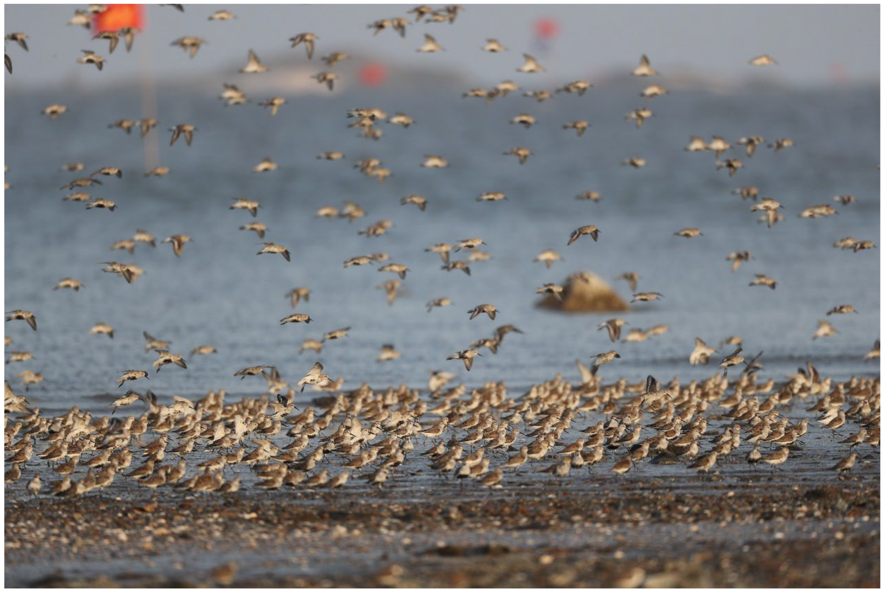 Sustainability 16 08133 g003