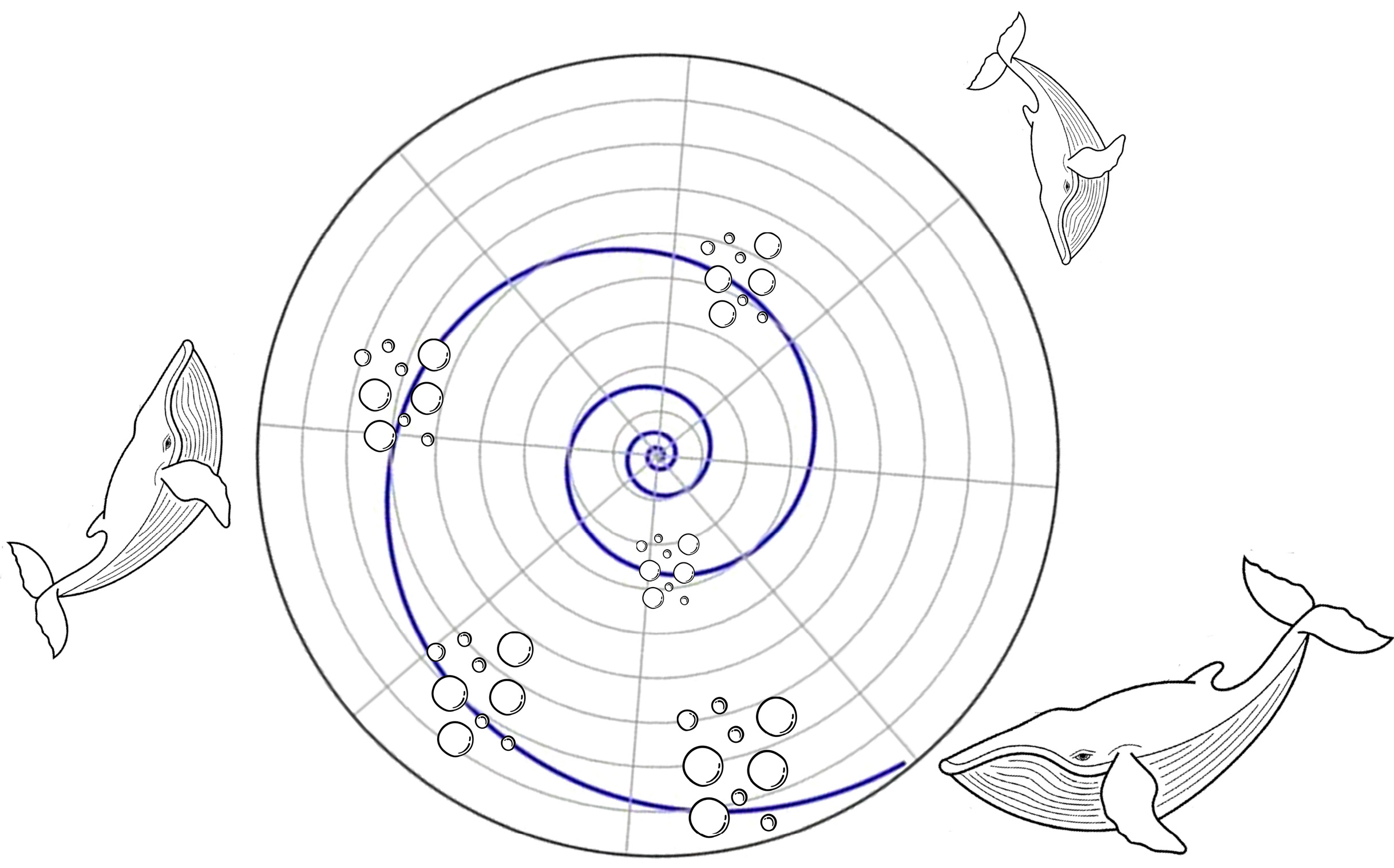 Sustainability 16 08140 g002
