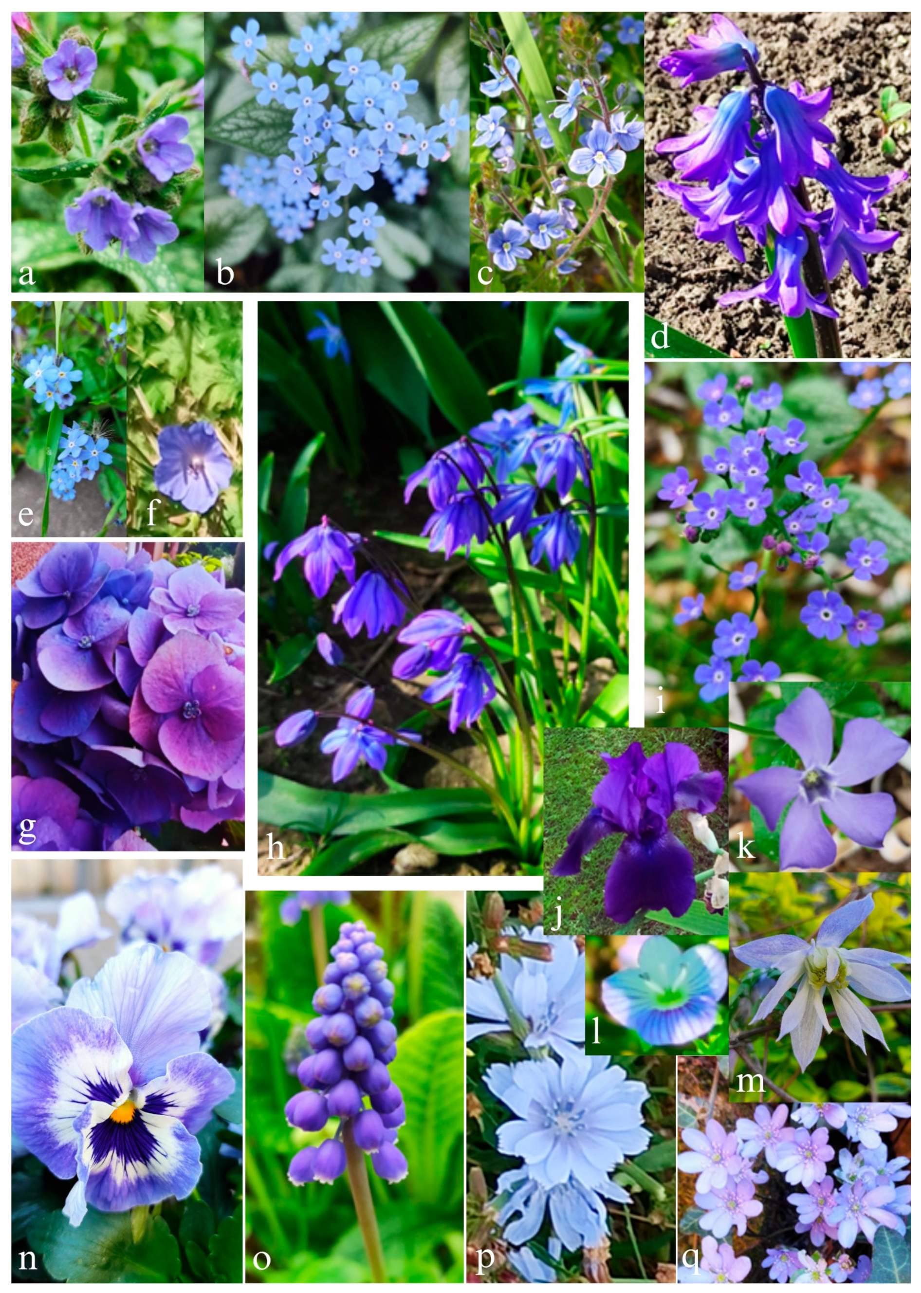 Sustainability 16 08142 g005 Sustainability 16 08142 g005