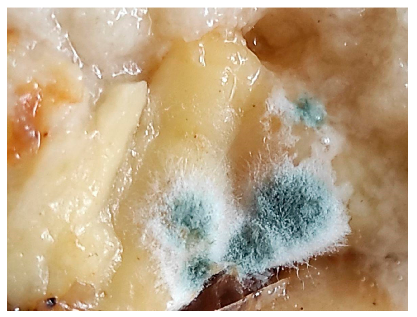 Sustainability 16 08142 g007 Sustainability 16 08142 g007