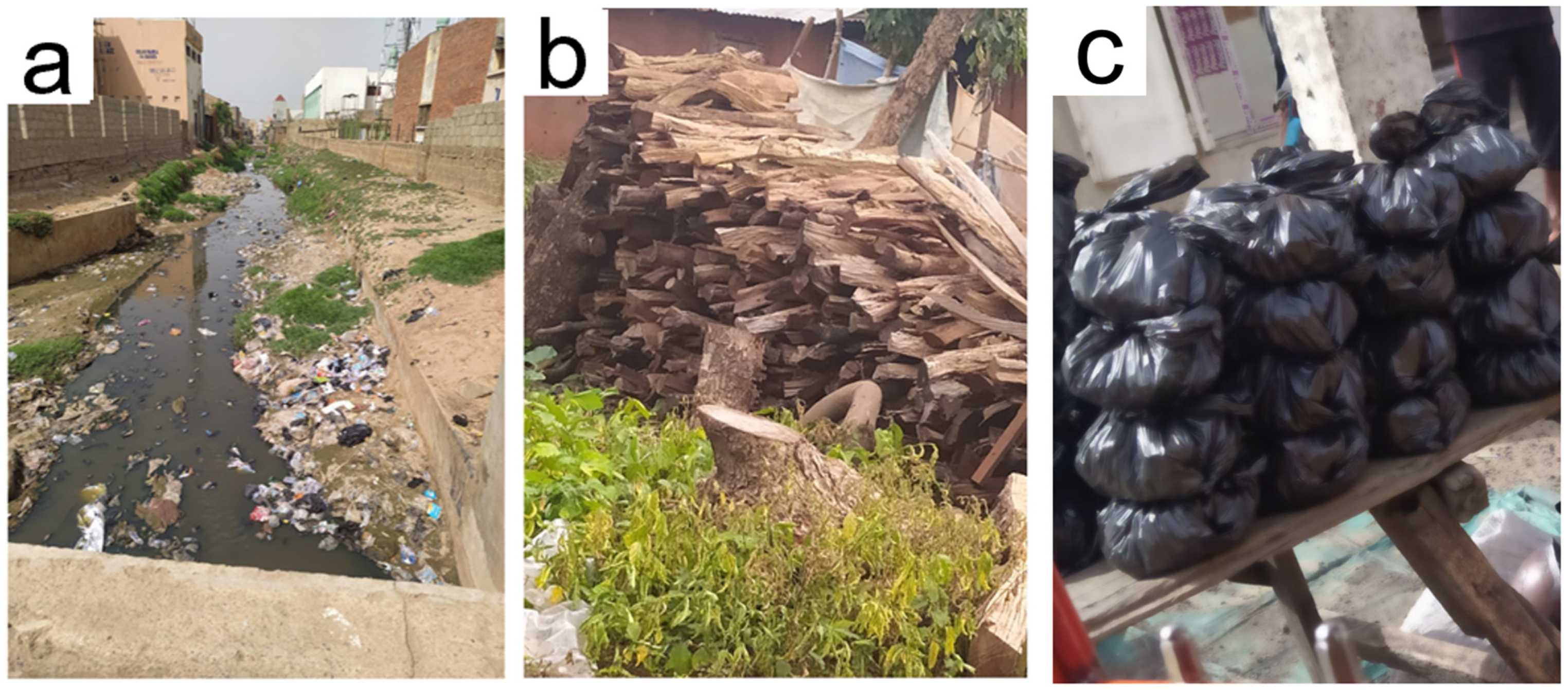 Sustainability 16 08157 g010