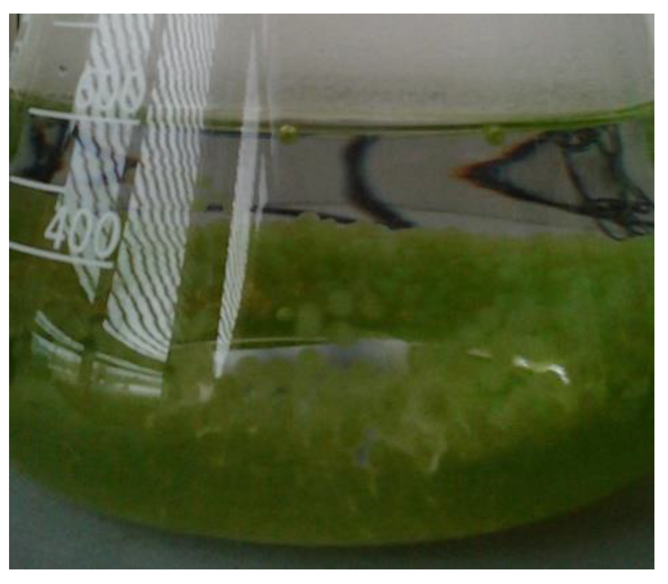 Sustainability 16 08174 g001