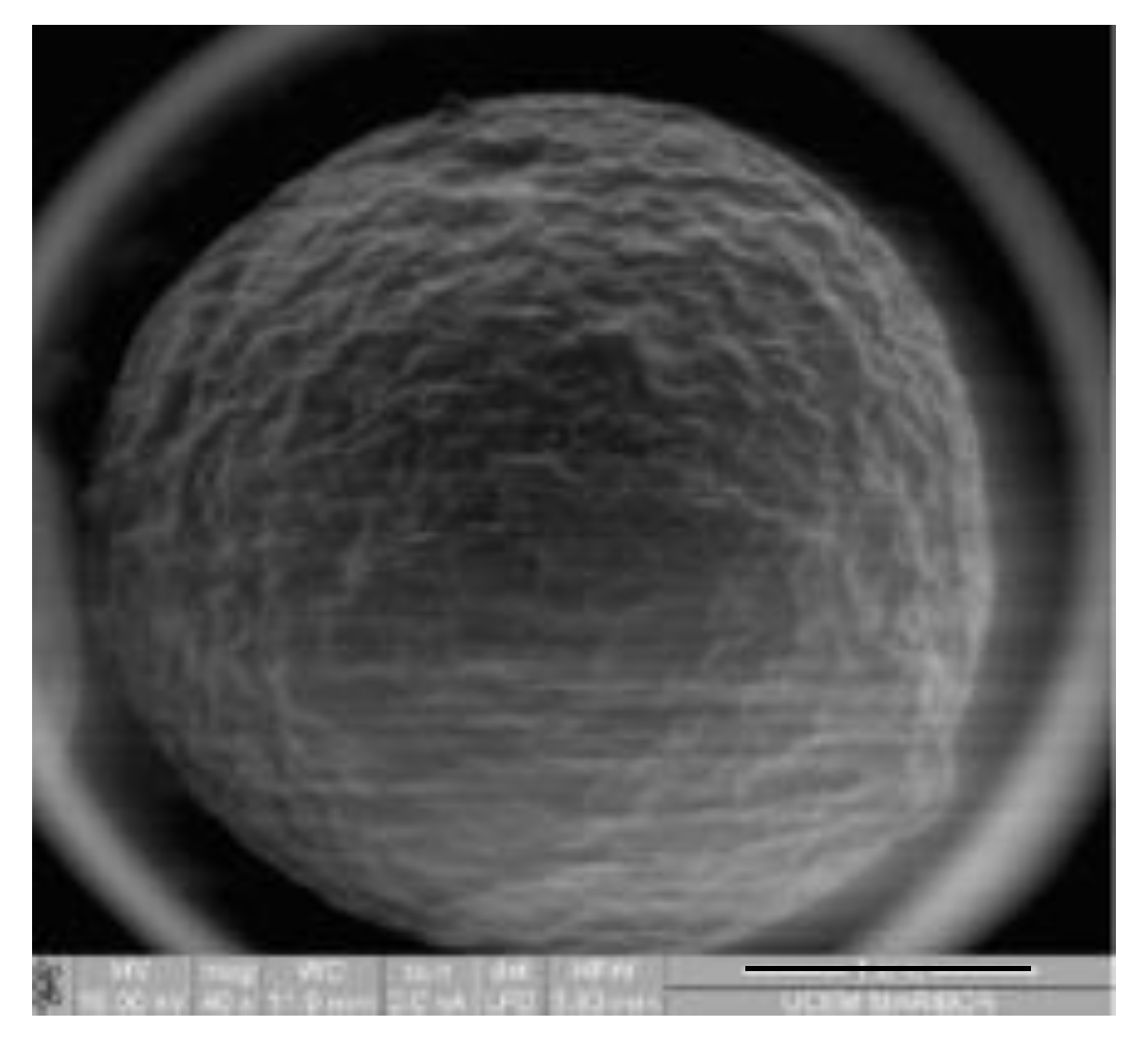 Sustainability 16 08174 g003