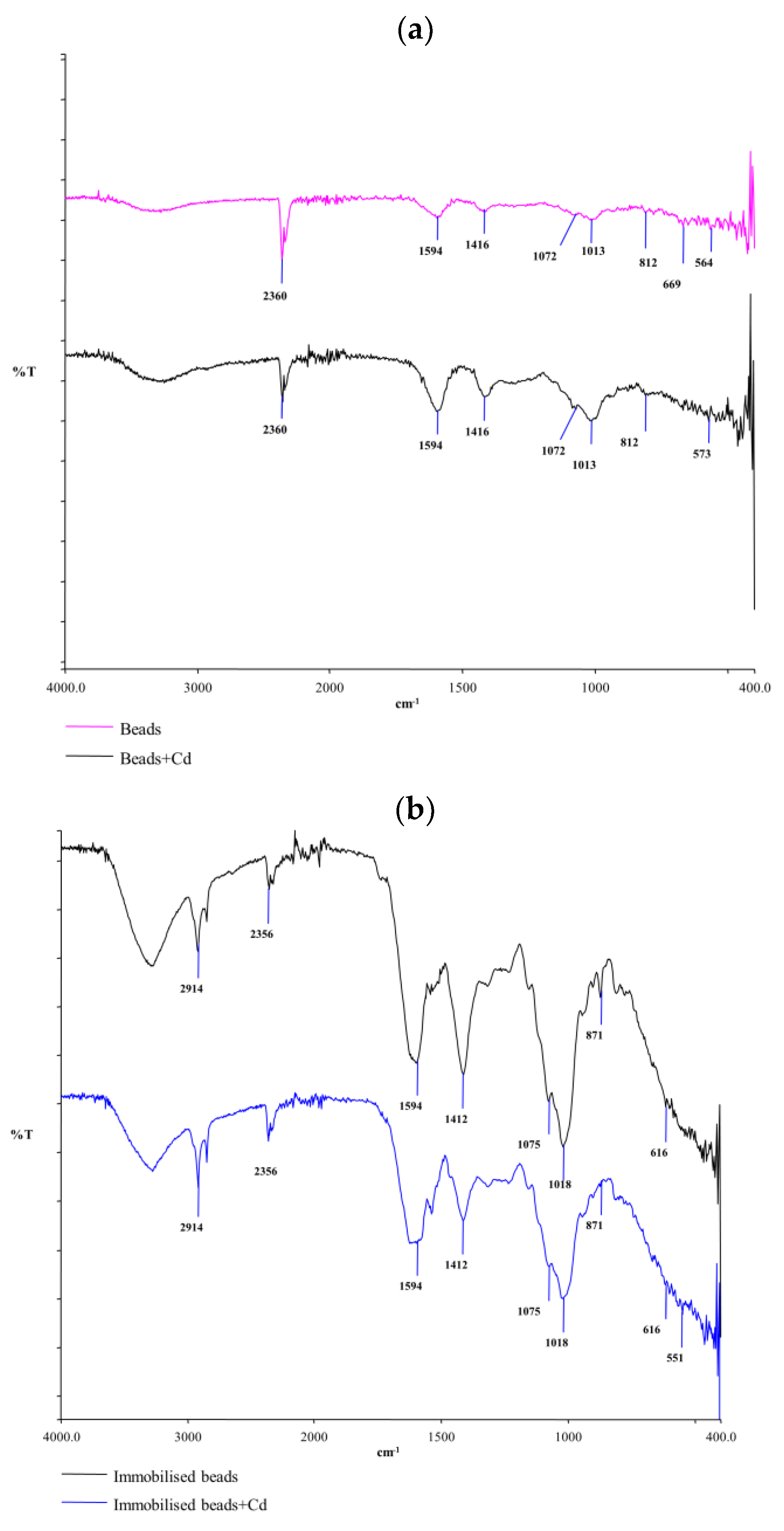 Sustainability 16 08174 g004