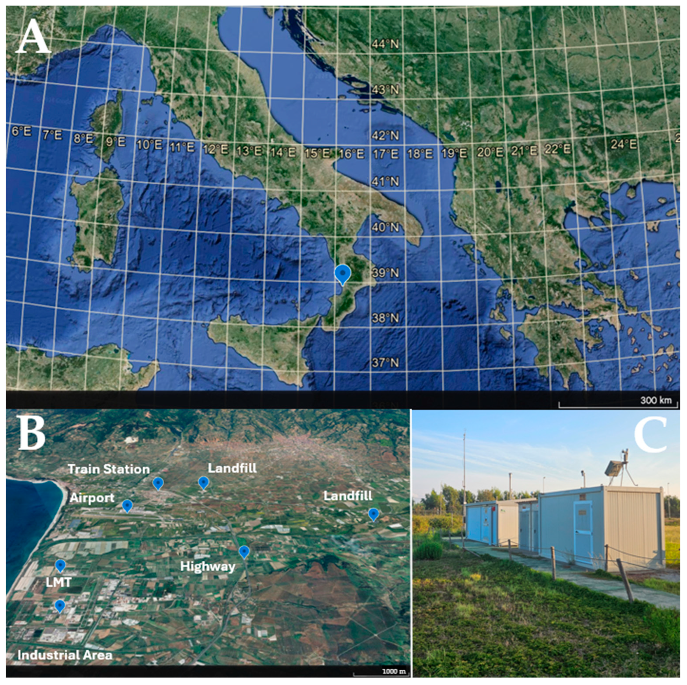Sustainability 16 08175 g001
