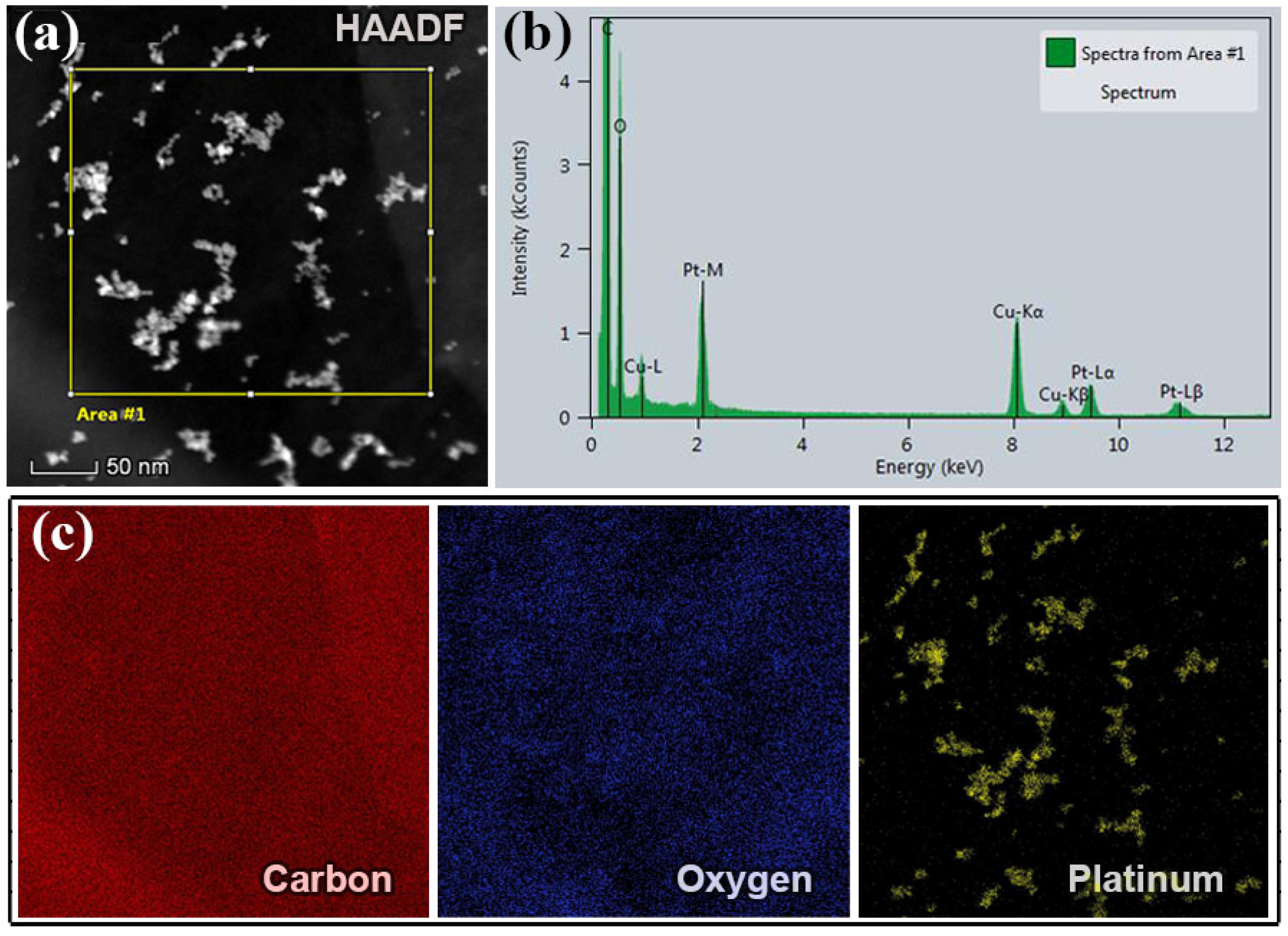 Sustainability 16 08189 g003