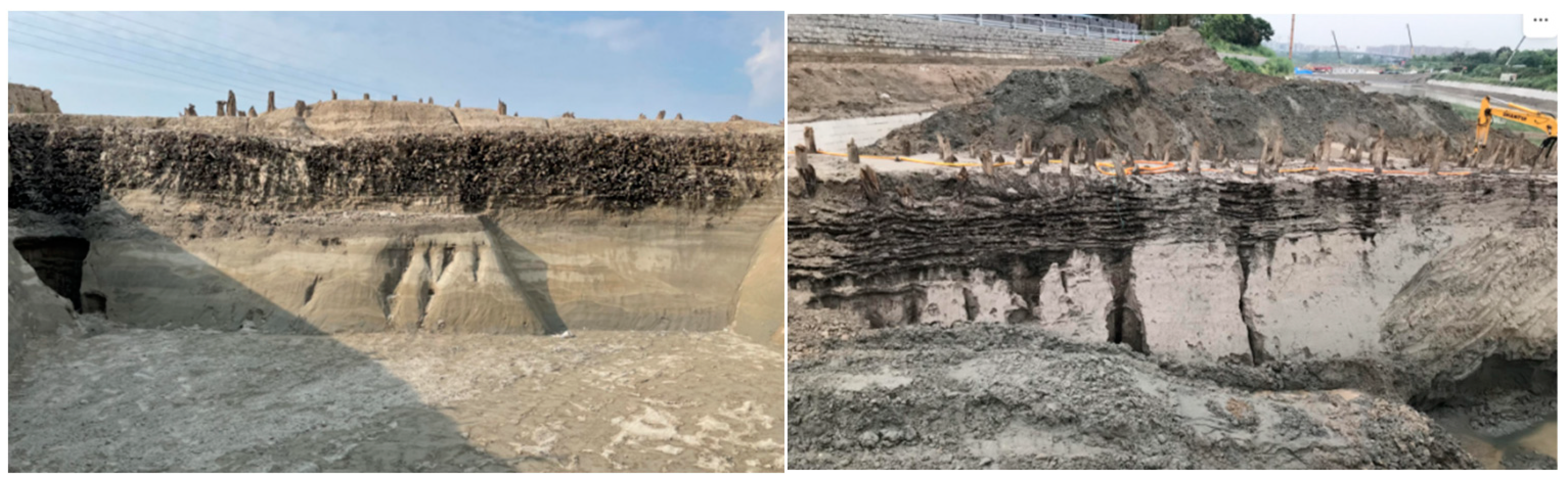 Sustainability 16 08219 g001