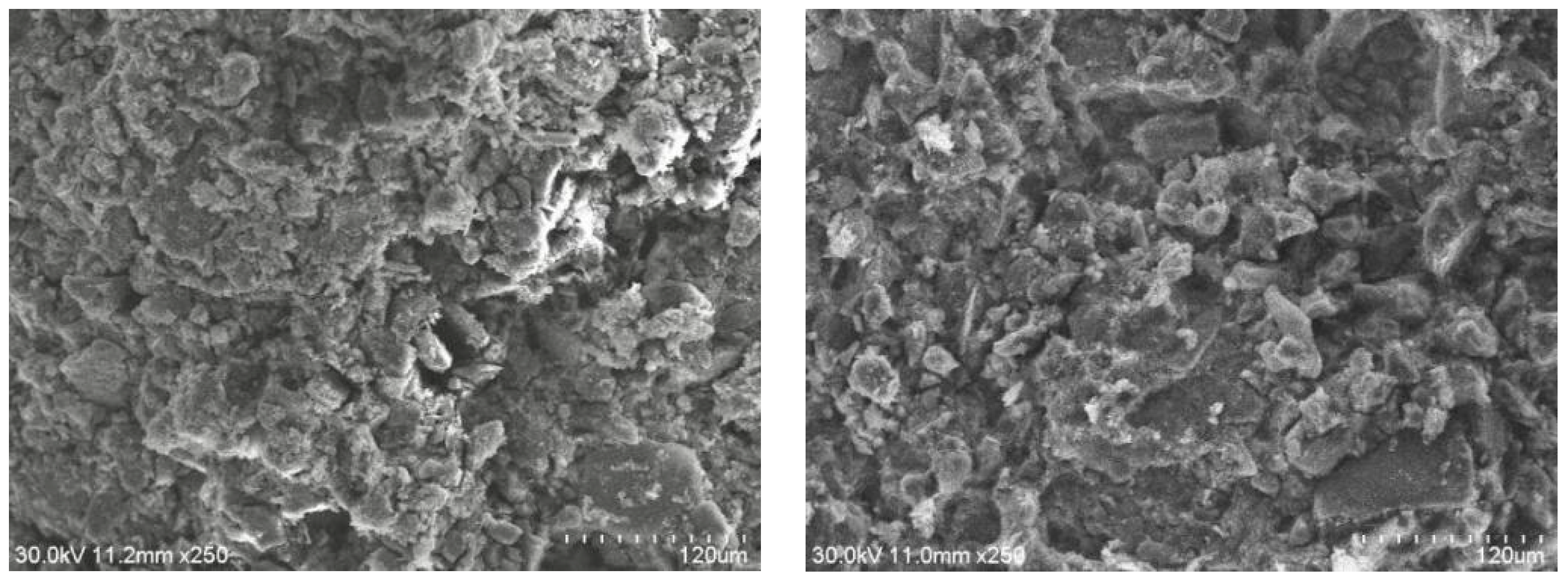 Sustainability 16 08219 g007