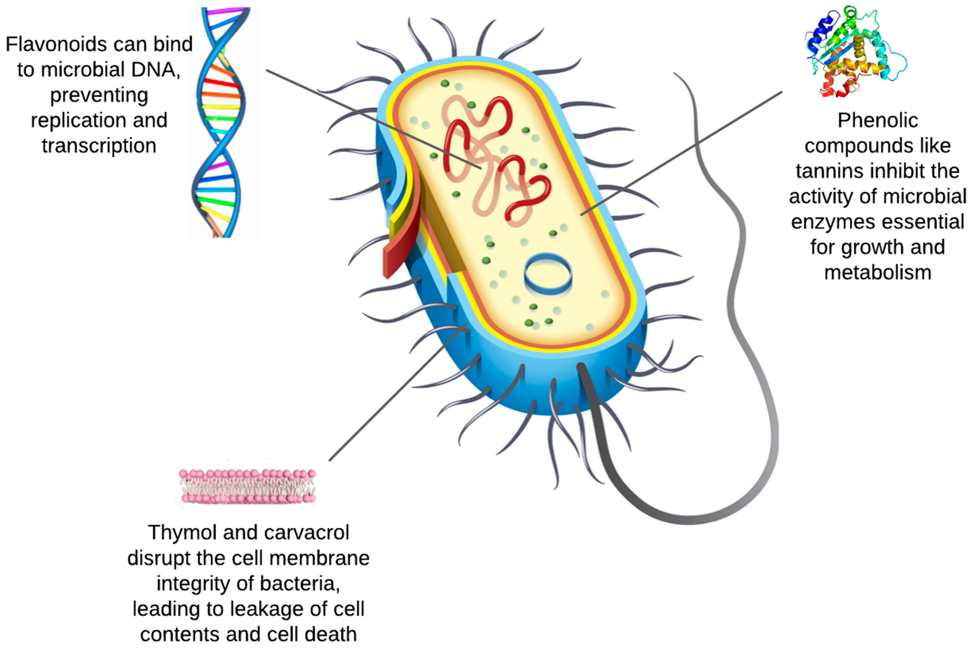 Sustainability 16 08223 g002