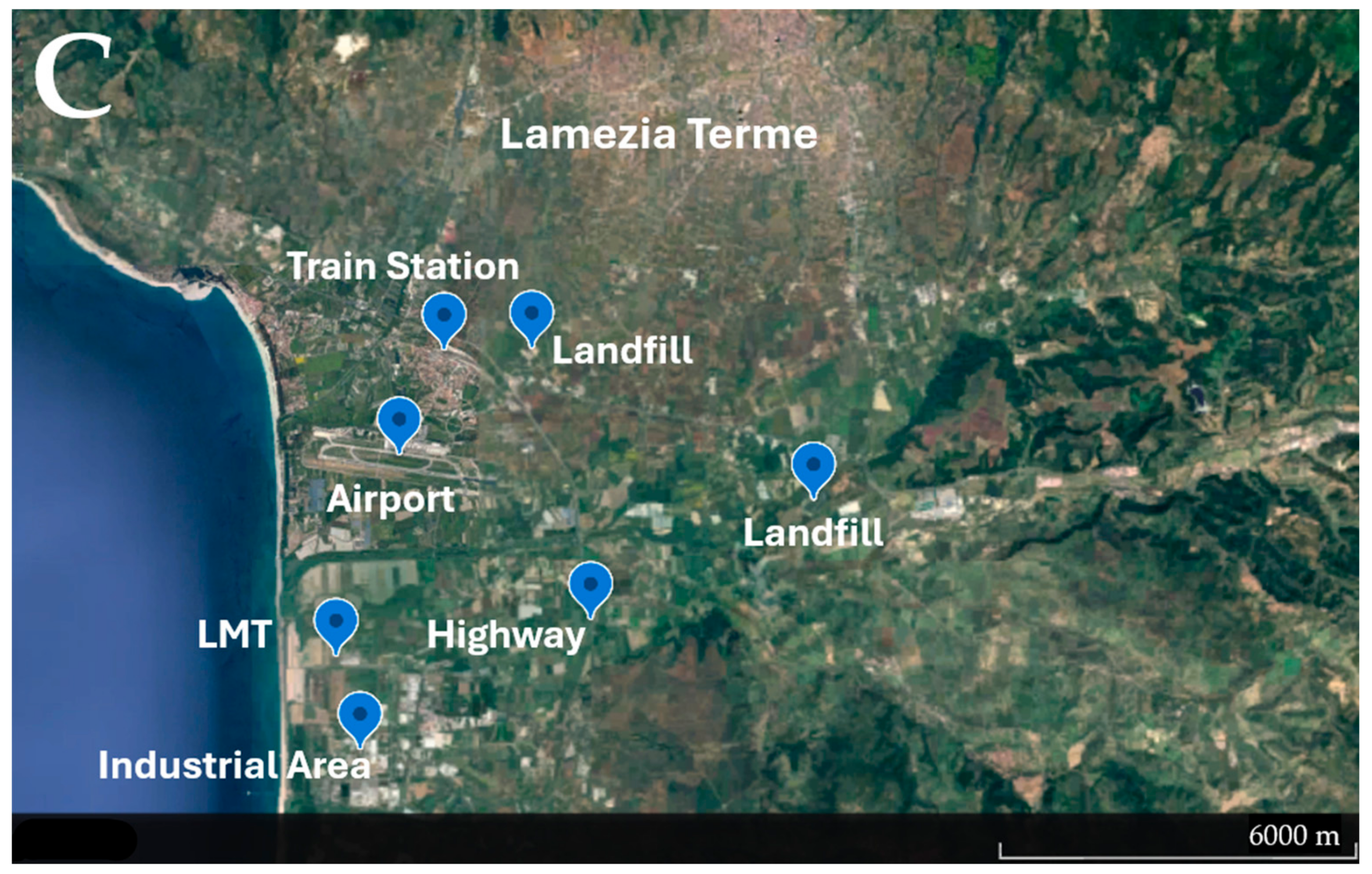 Sustainability 16 08229 g001b