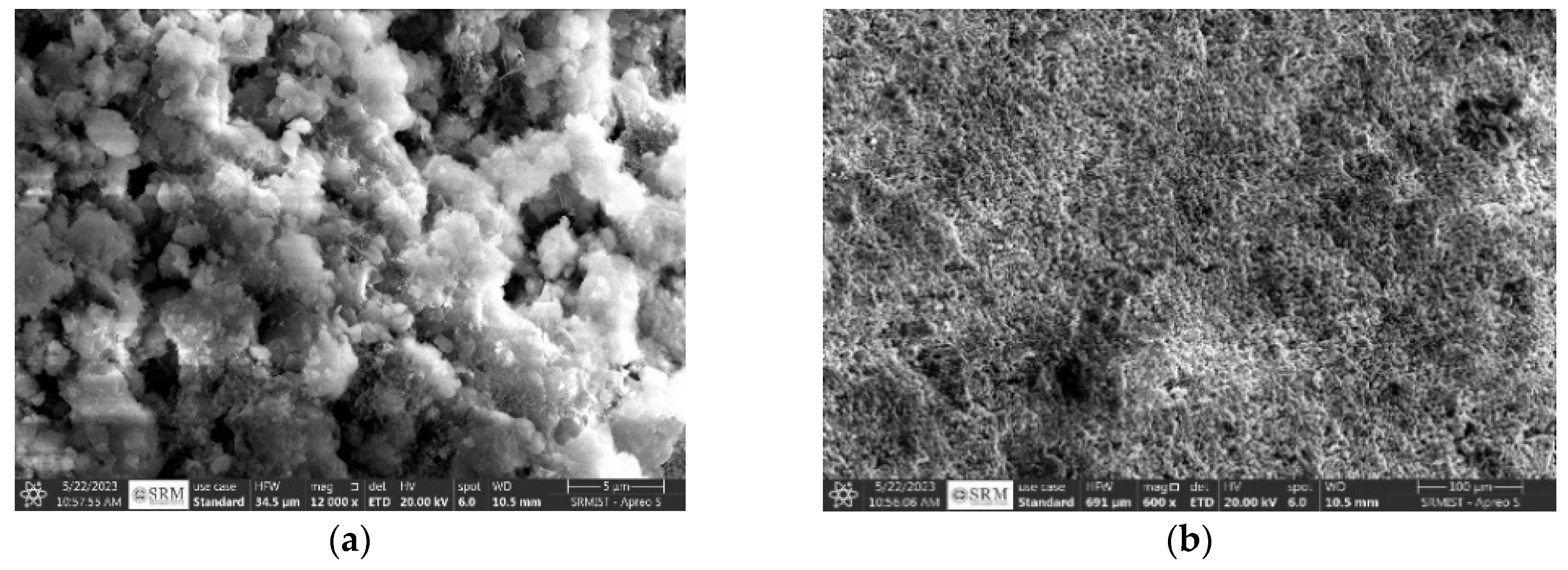 Sustainability 16 08257 g001a