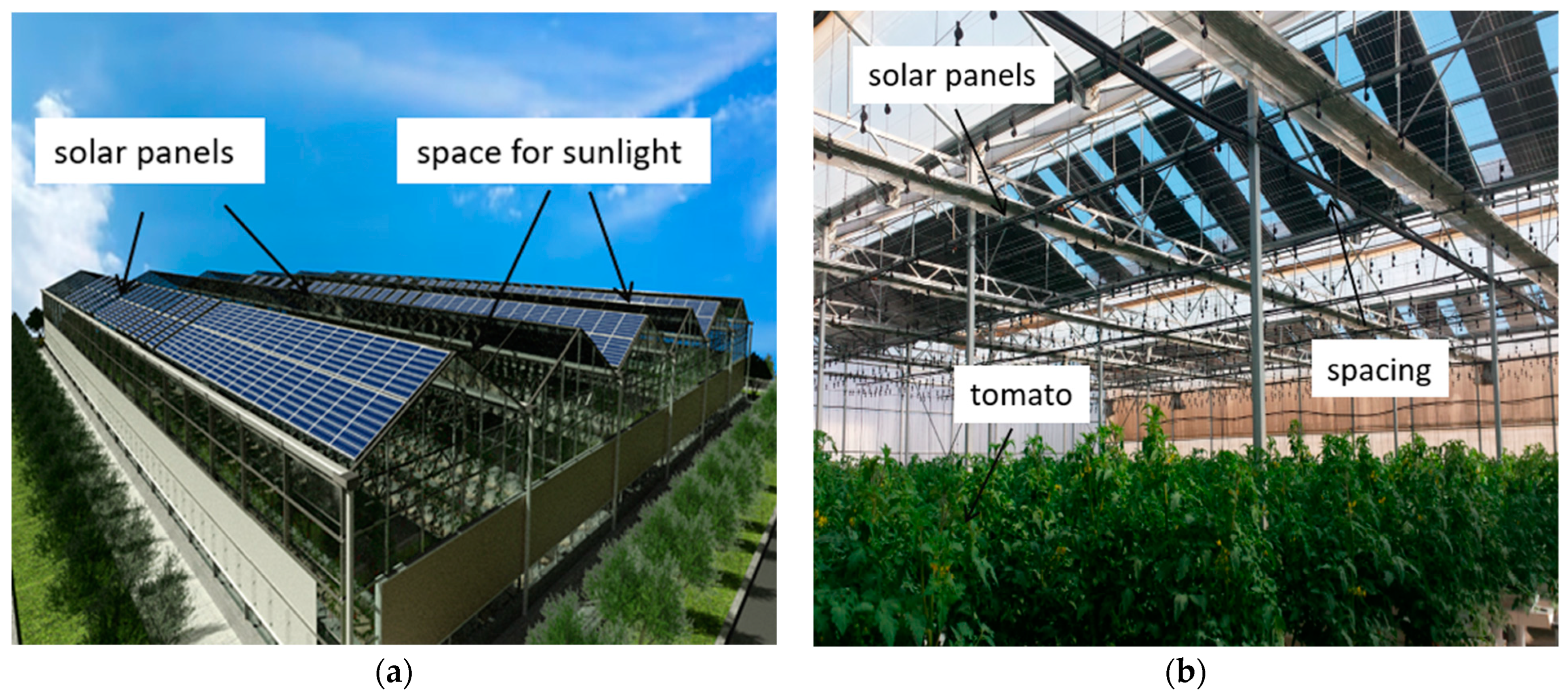 Sustainability 16 08271 g004