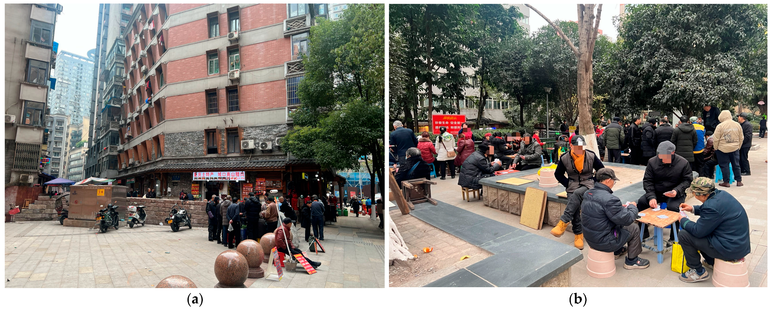 Sustainability 16 08290 g003