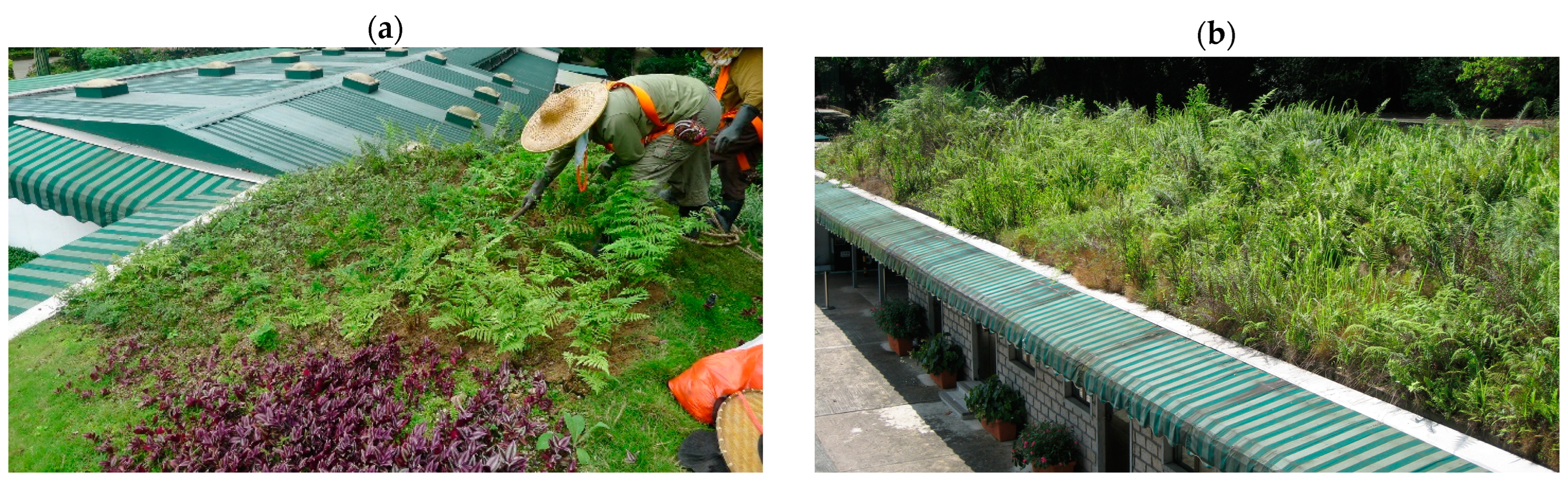 Sustainability 16 08314 g003