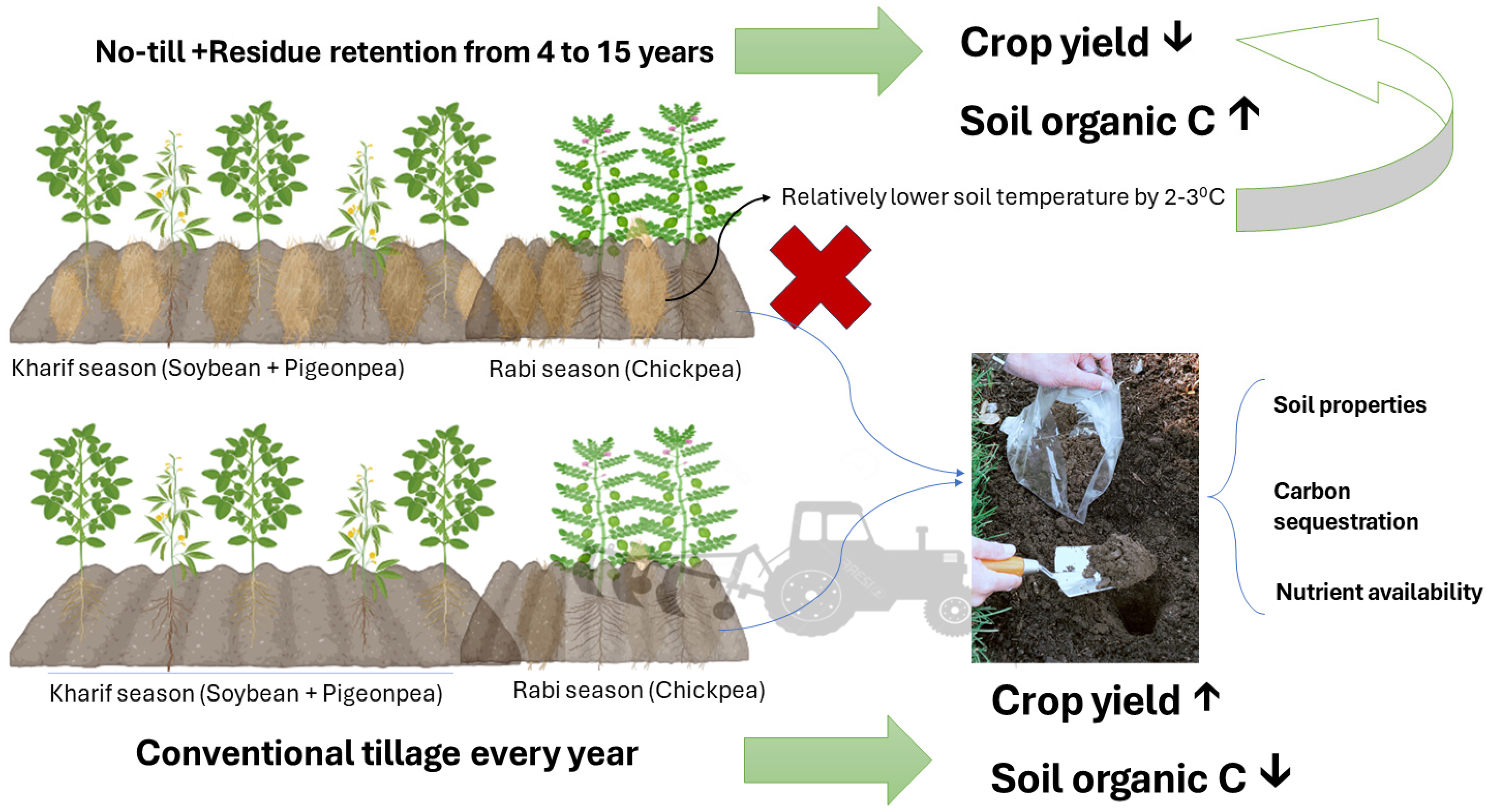 Sustainability 16 08319 g006