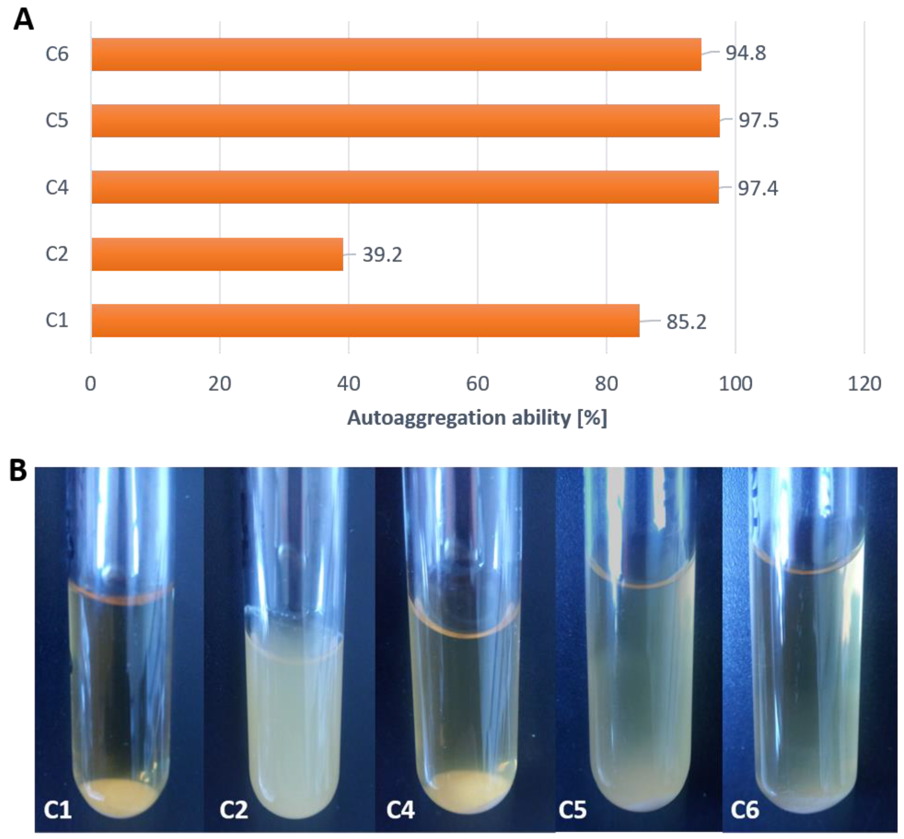 Sustainability 16 08340 g004