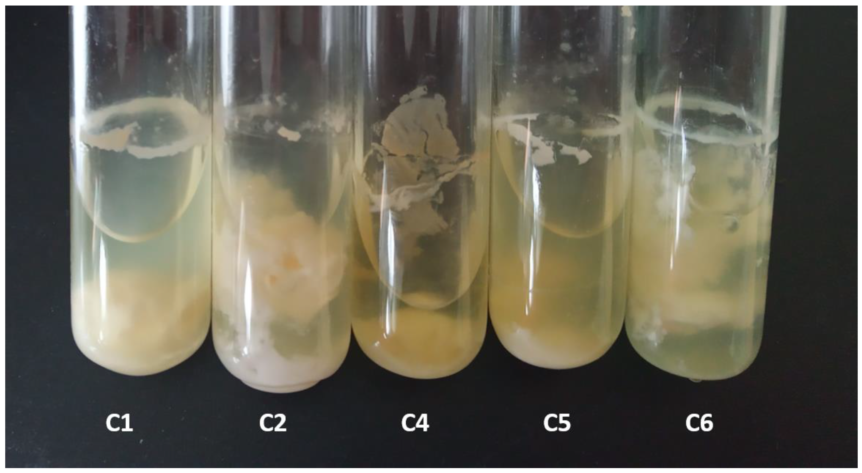 Sustainability 16 08340 g010