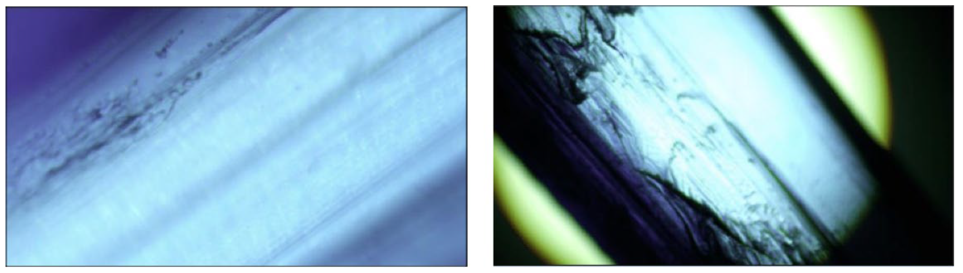 Sustainability 16 08347 g007