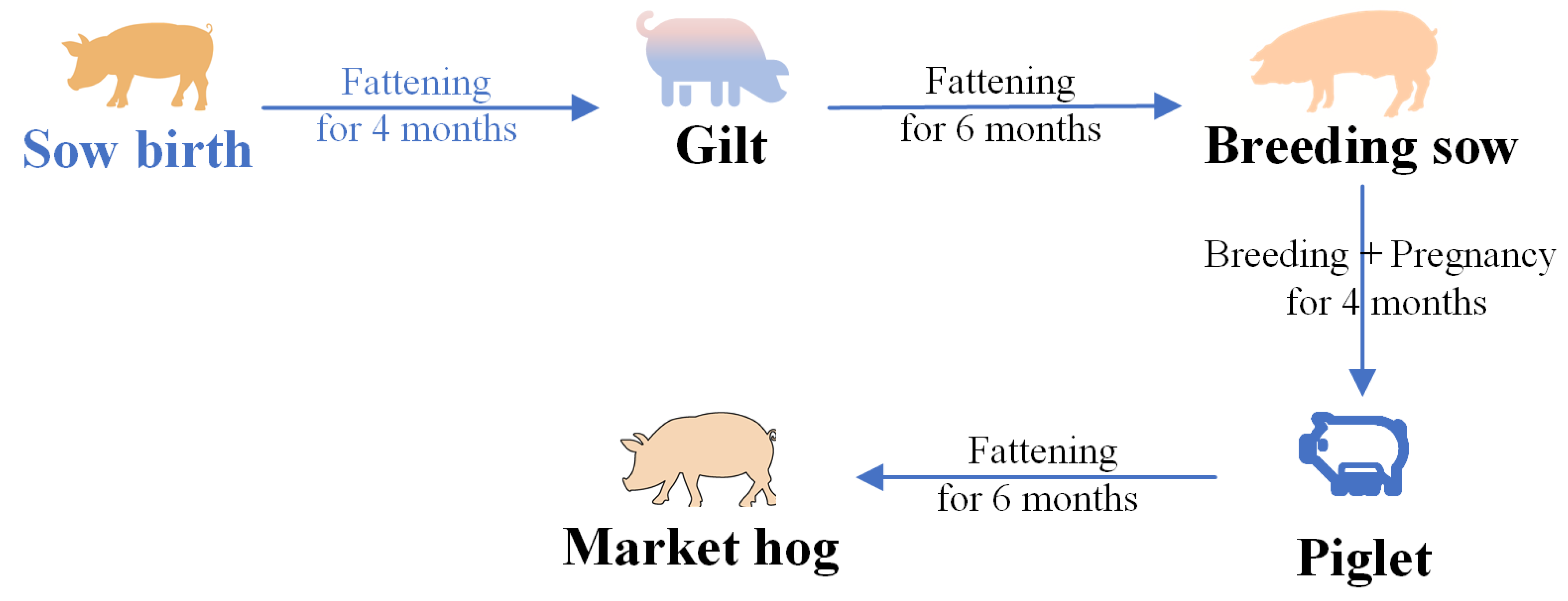 Sustainability 16 08398 g004