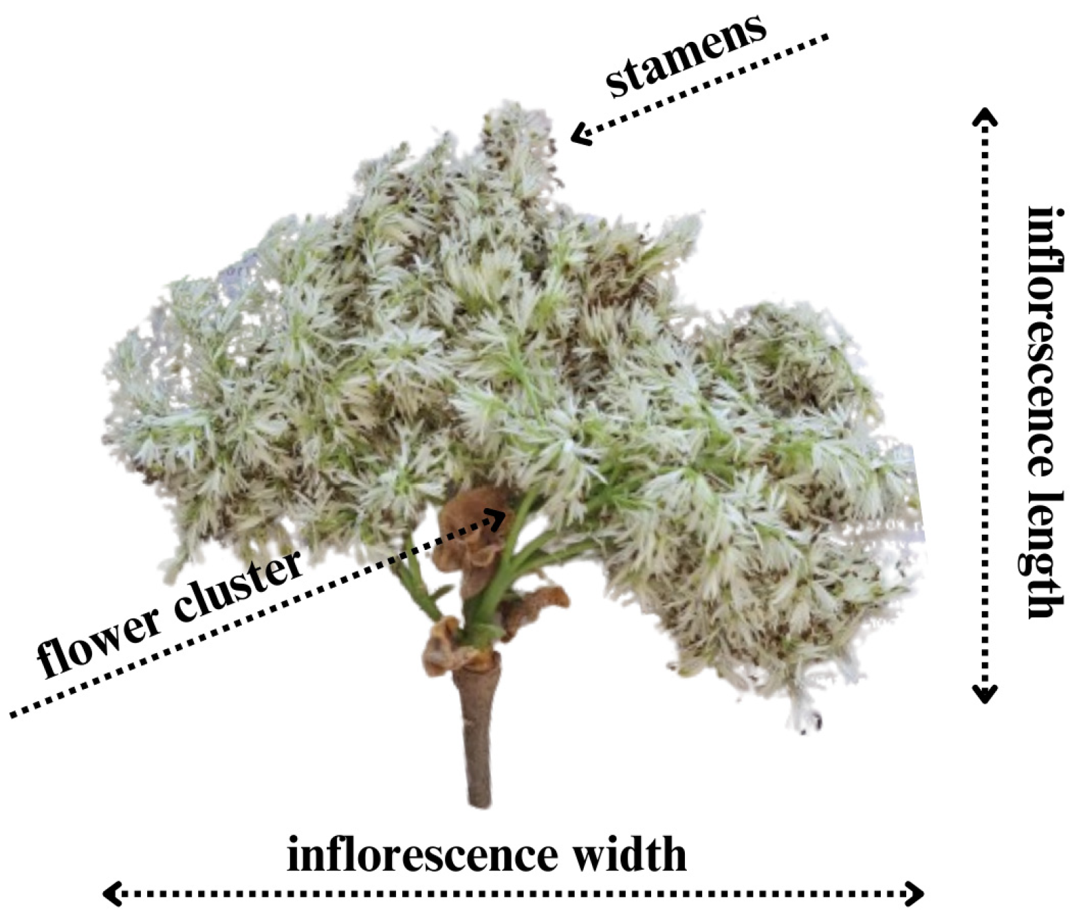 Sustainability 16 08404 g003