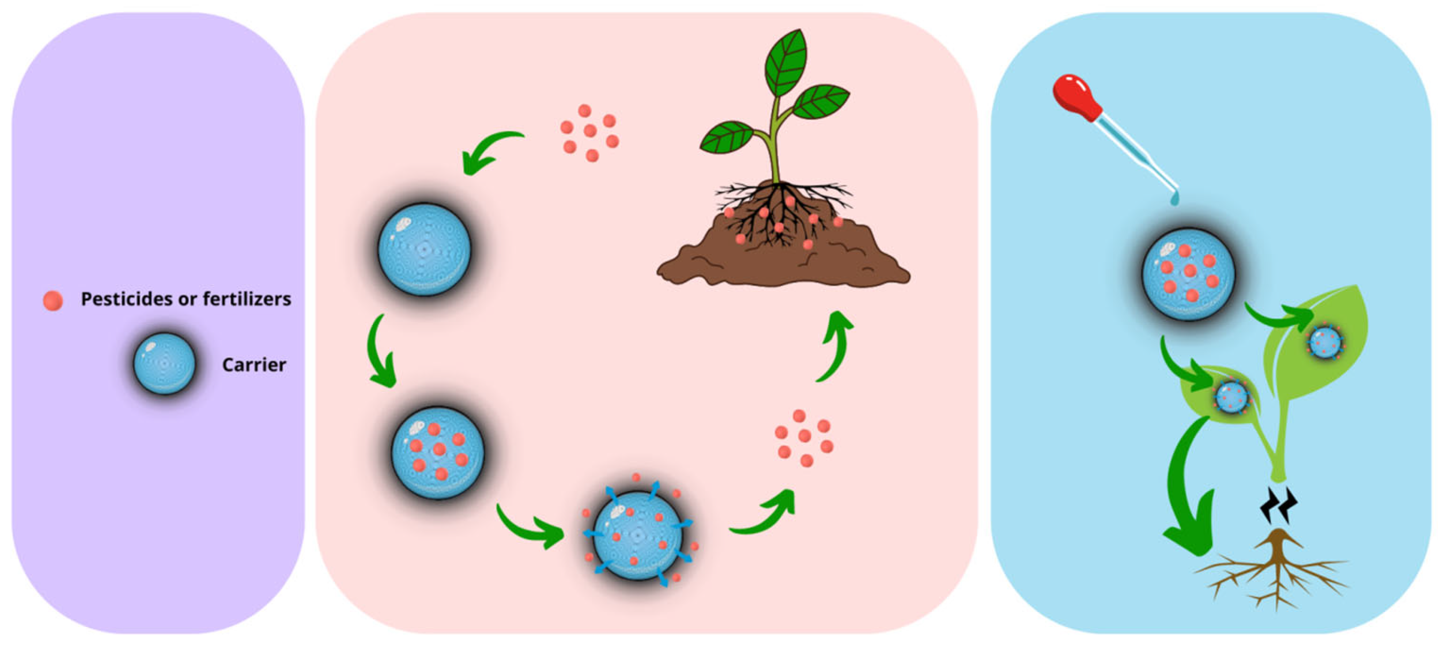 Sustainability 16 08439 g005